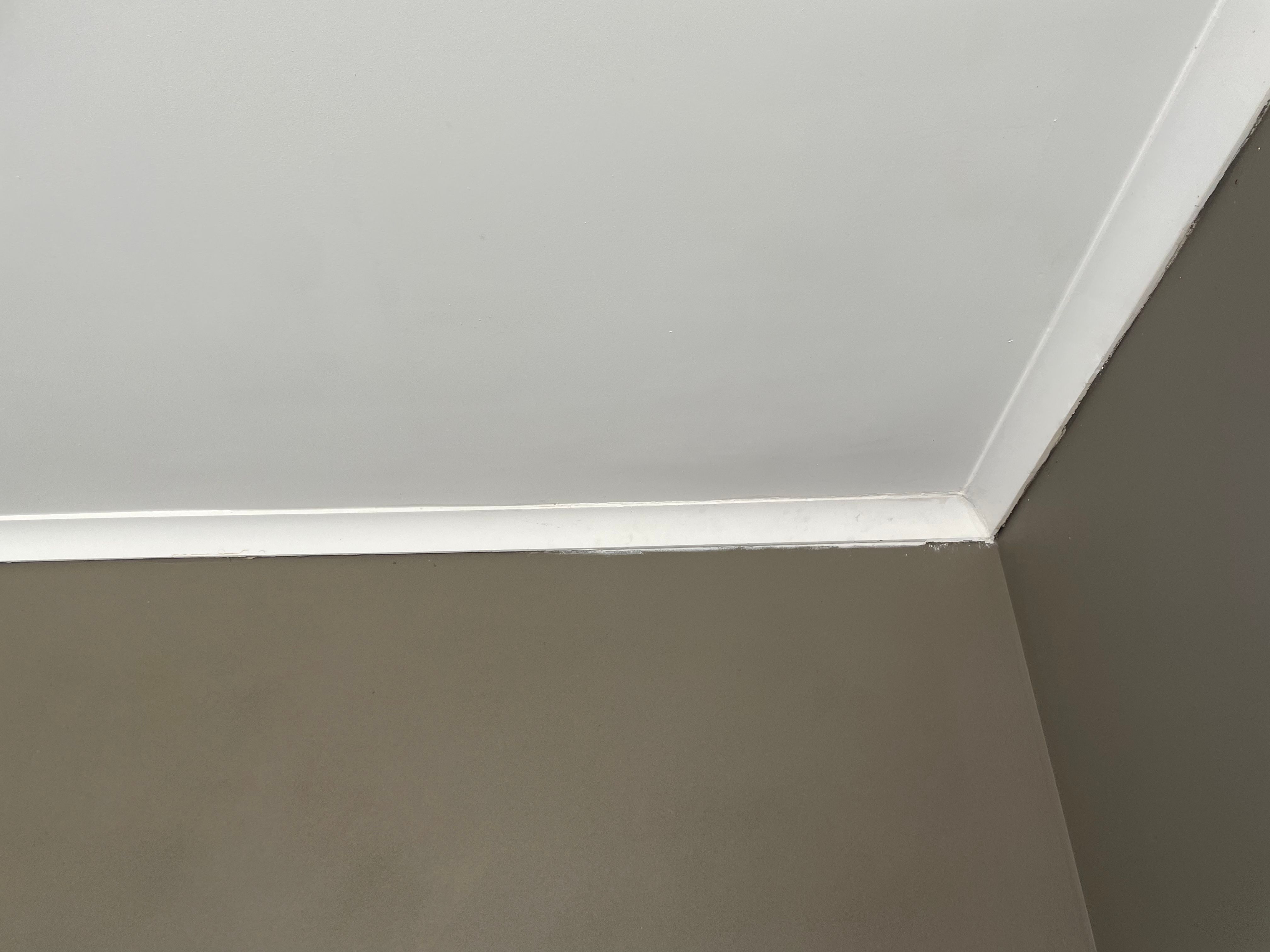 Solved How to fix damaged cornice? Bunnings community