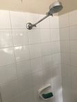 Shower Picture 1