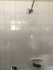 Shower Picture 2