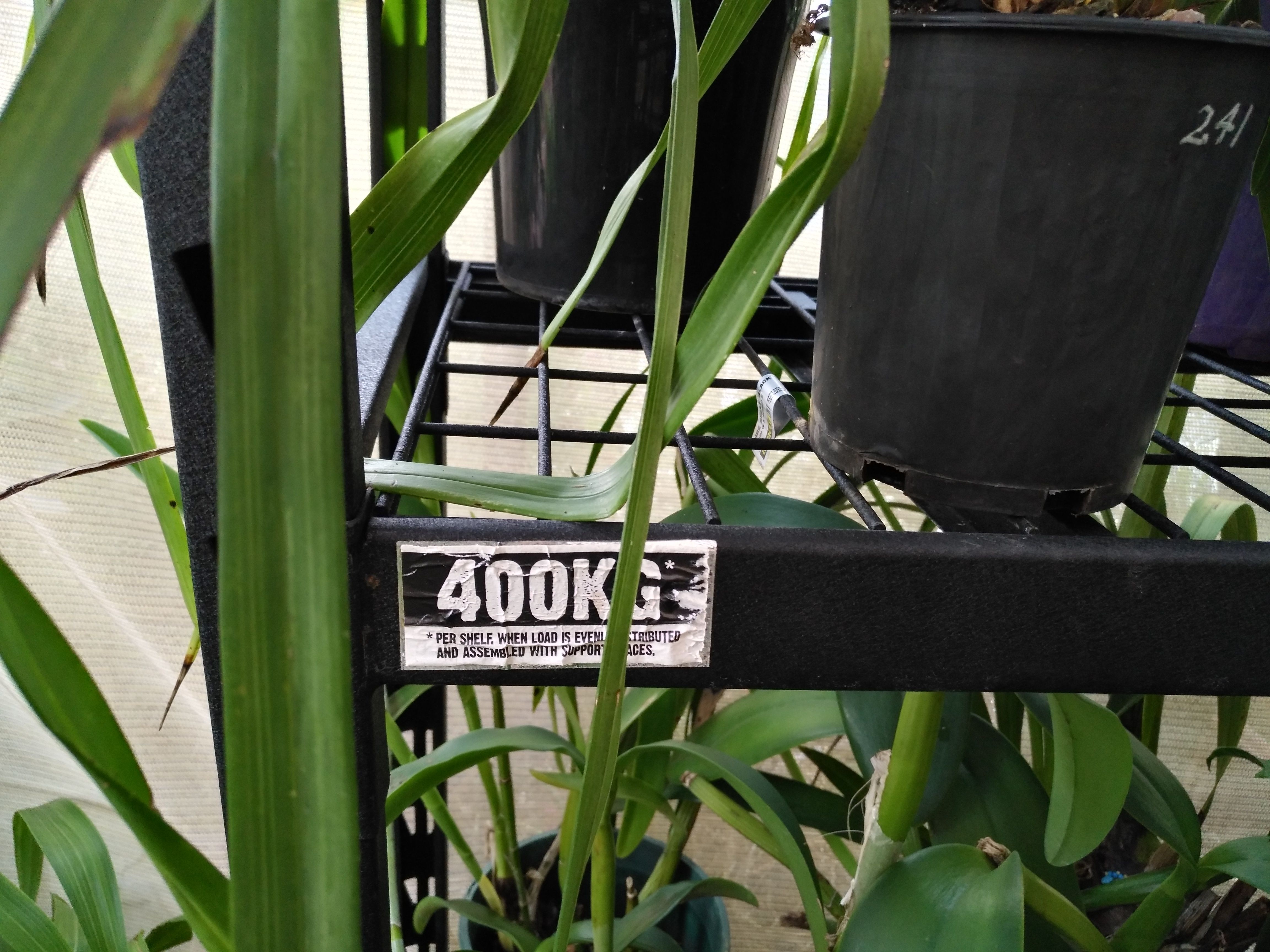 Shelving system for orchids Bunnings community