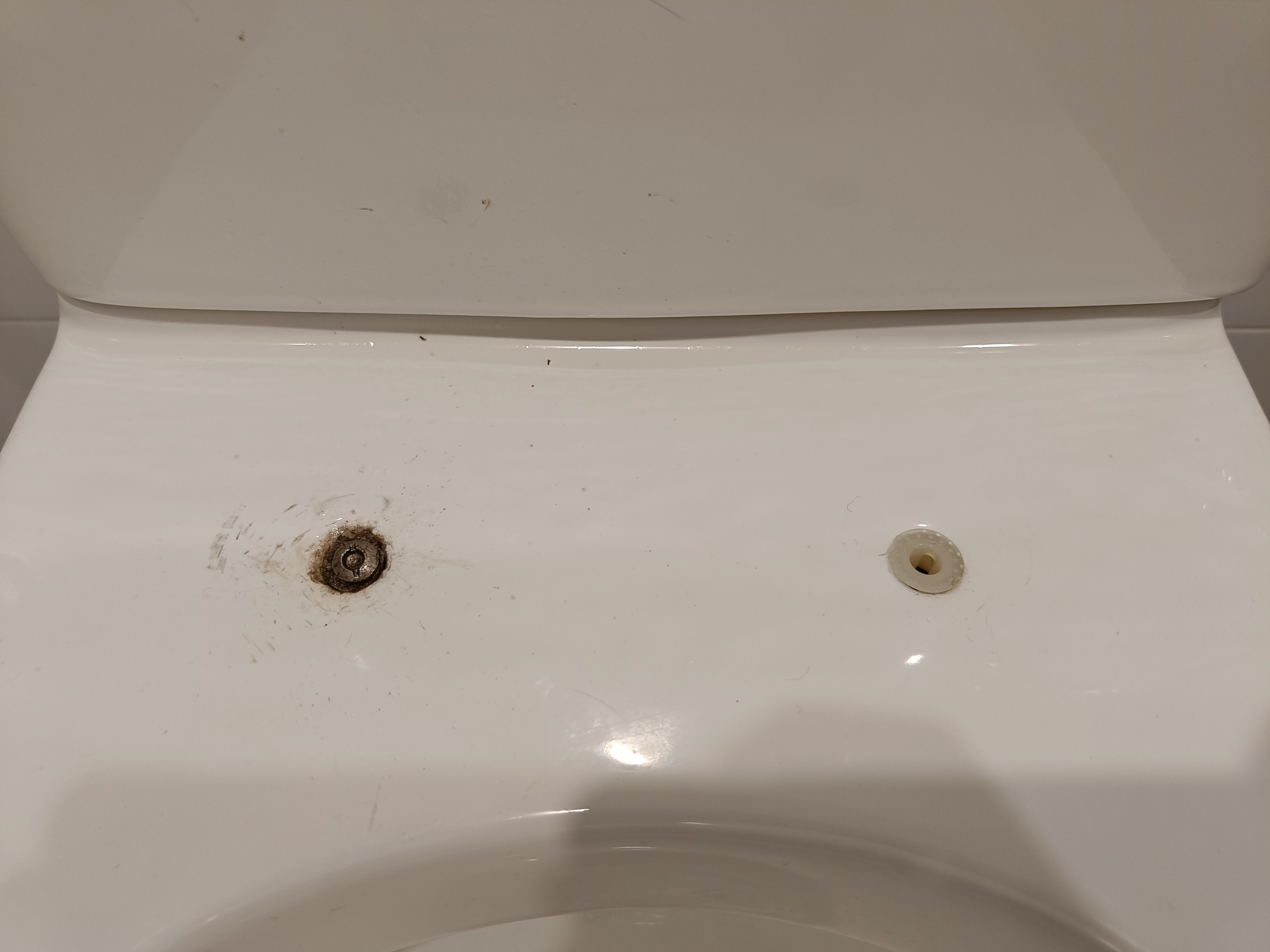 How to remove toilet seat screw cemented... Bunnings community