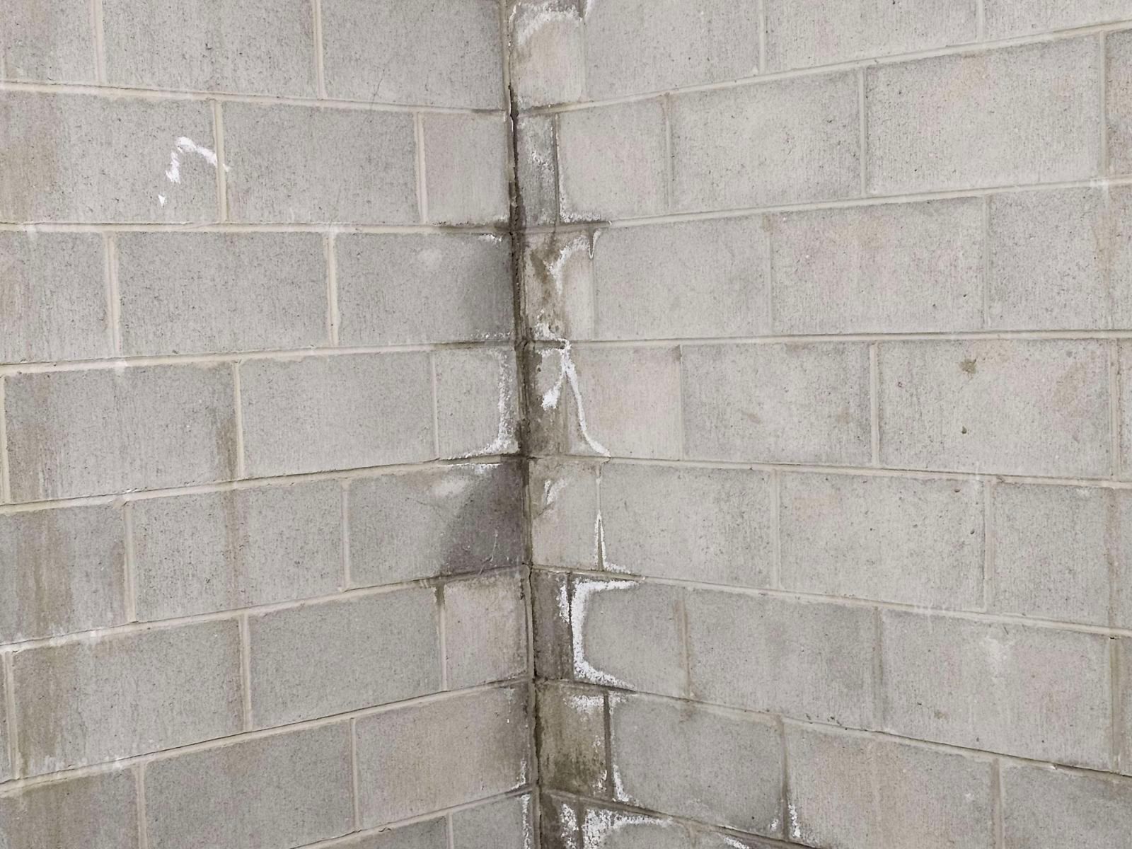 How to fix townhouse garage wall leaking... Bunnings community