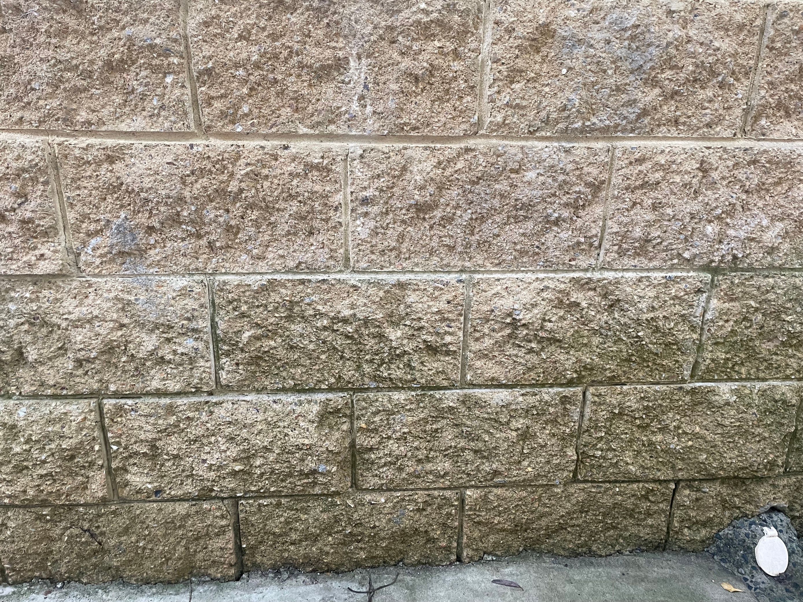 How to clean sandstone bricks? Bunnings community