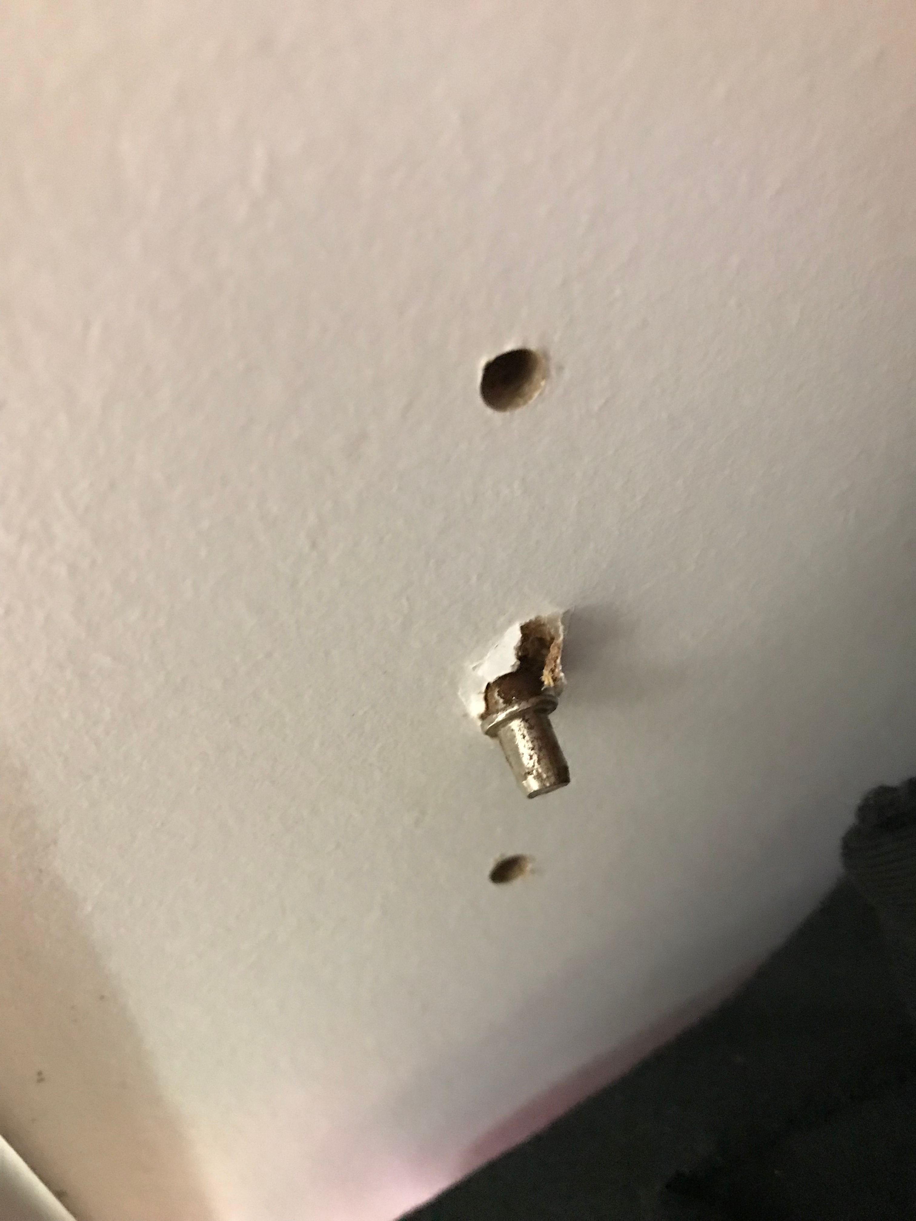 How to support sagging shelves? Bunnings community