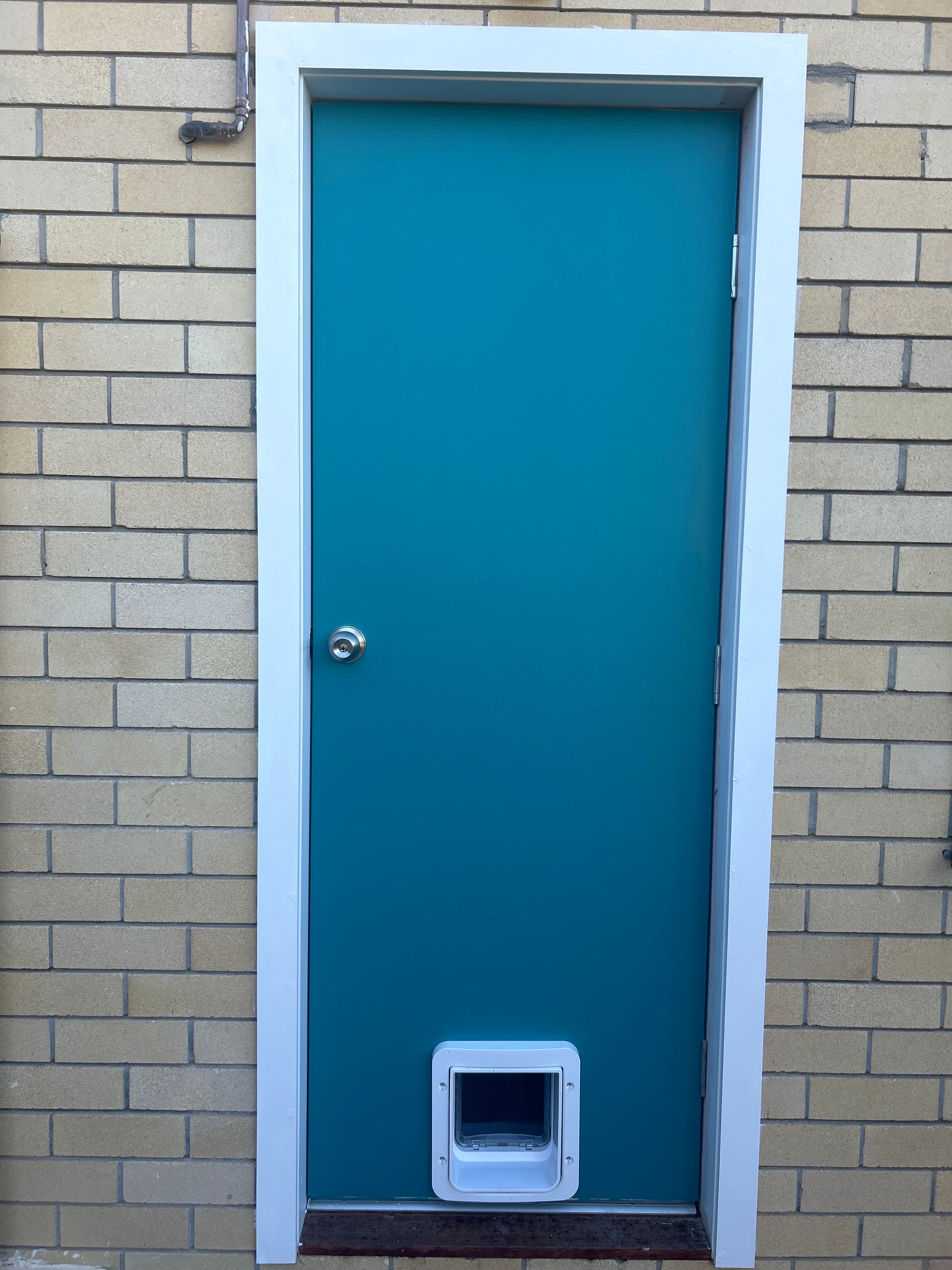 How to paint new Hume doors? Bunnings community
