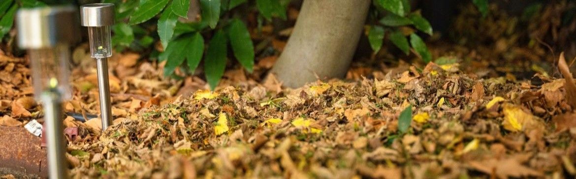 DIY - Header - What to do with Autumn leaves and leaf litter.jpg