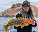 Profile (BuggsBunny)