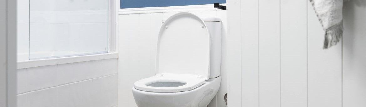 Toilet seat.jpg
