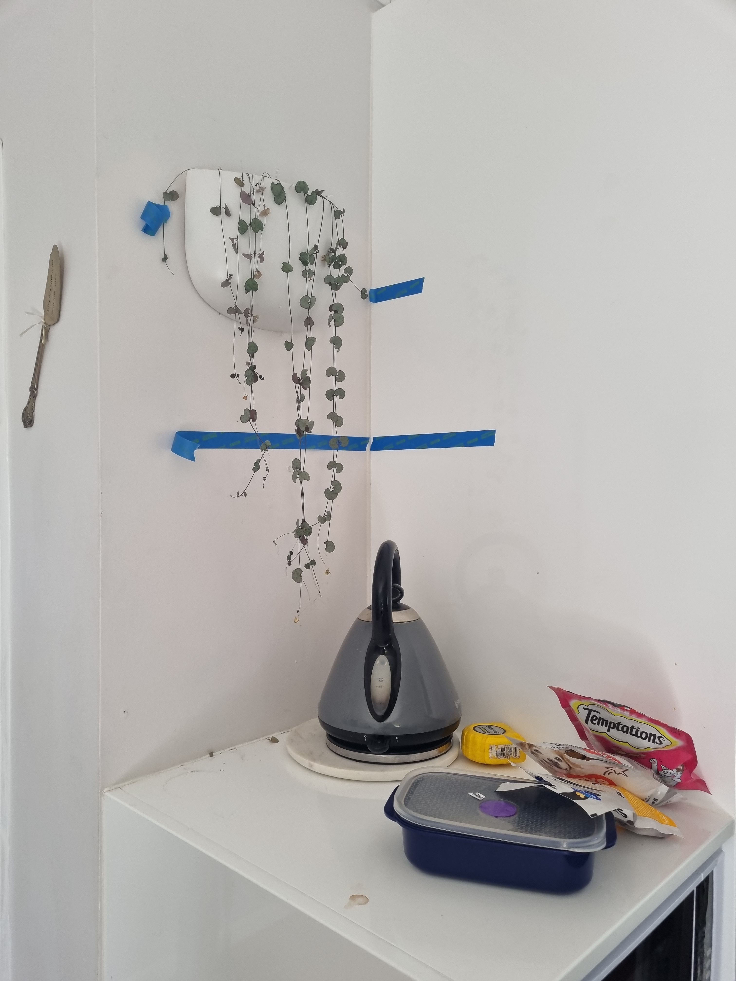 How to build a floating shelf? Bunnings community