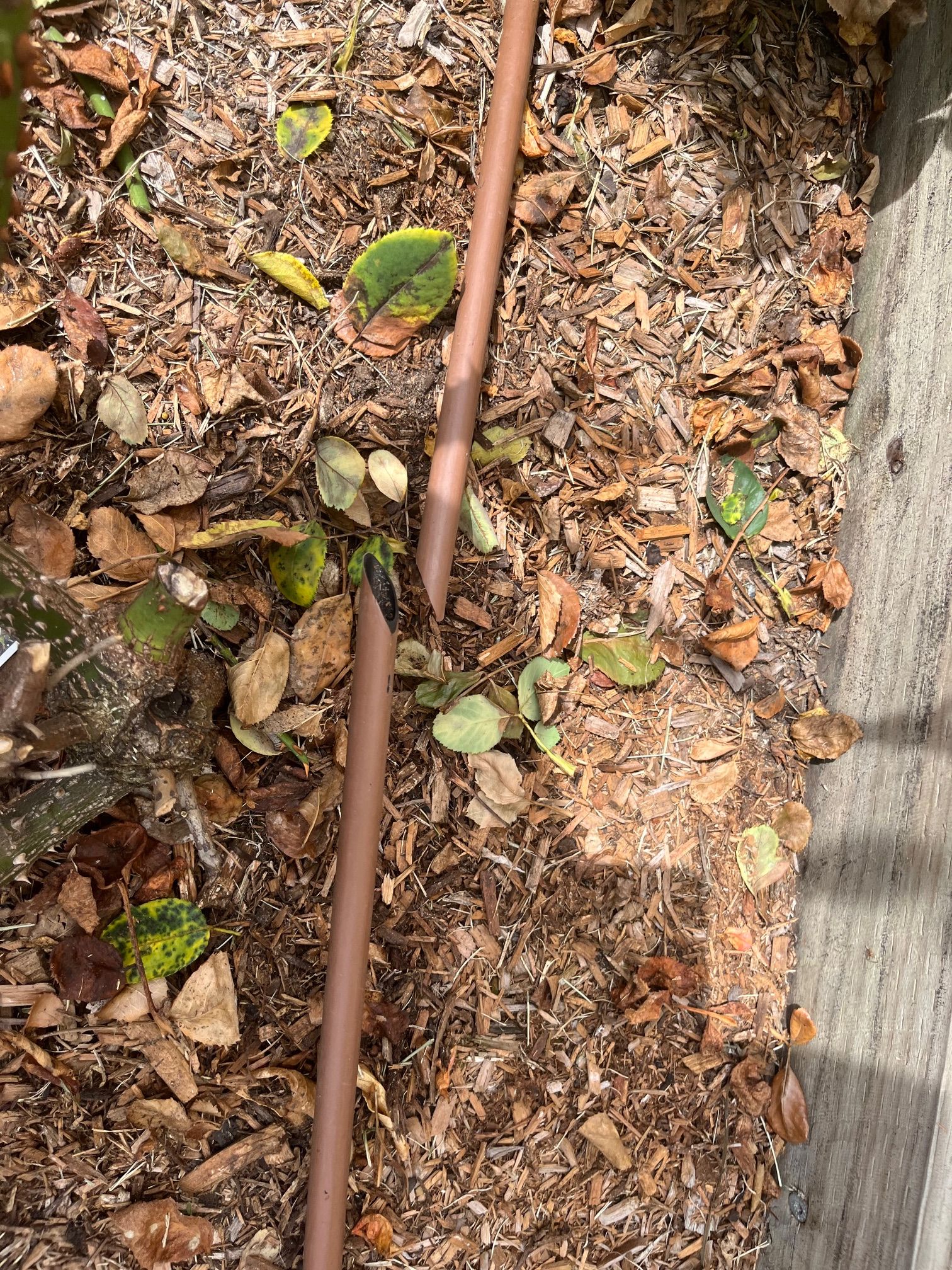 Solved How do I fix a snipped irrigation tube? Bunnings