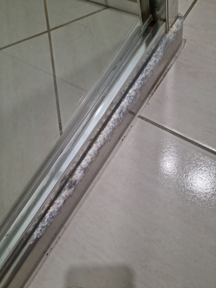 ChromeShowerTrim.jpeg