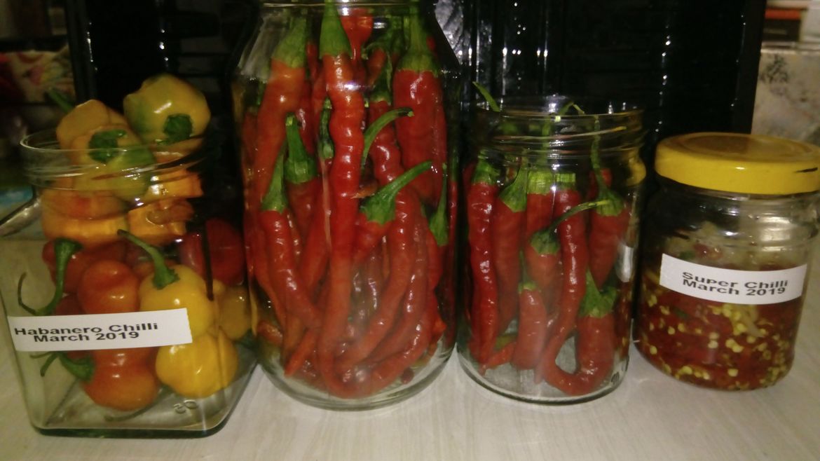 Nearly ready to preserve