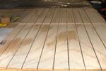 20190325-_5008018-Sanded.jpg