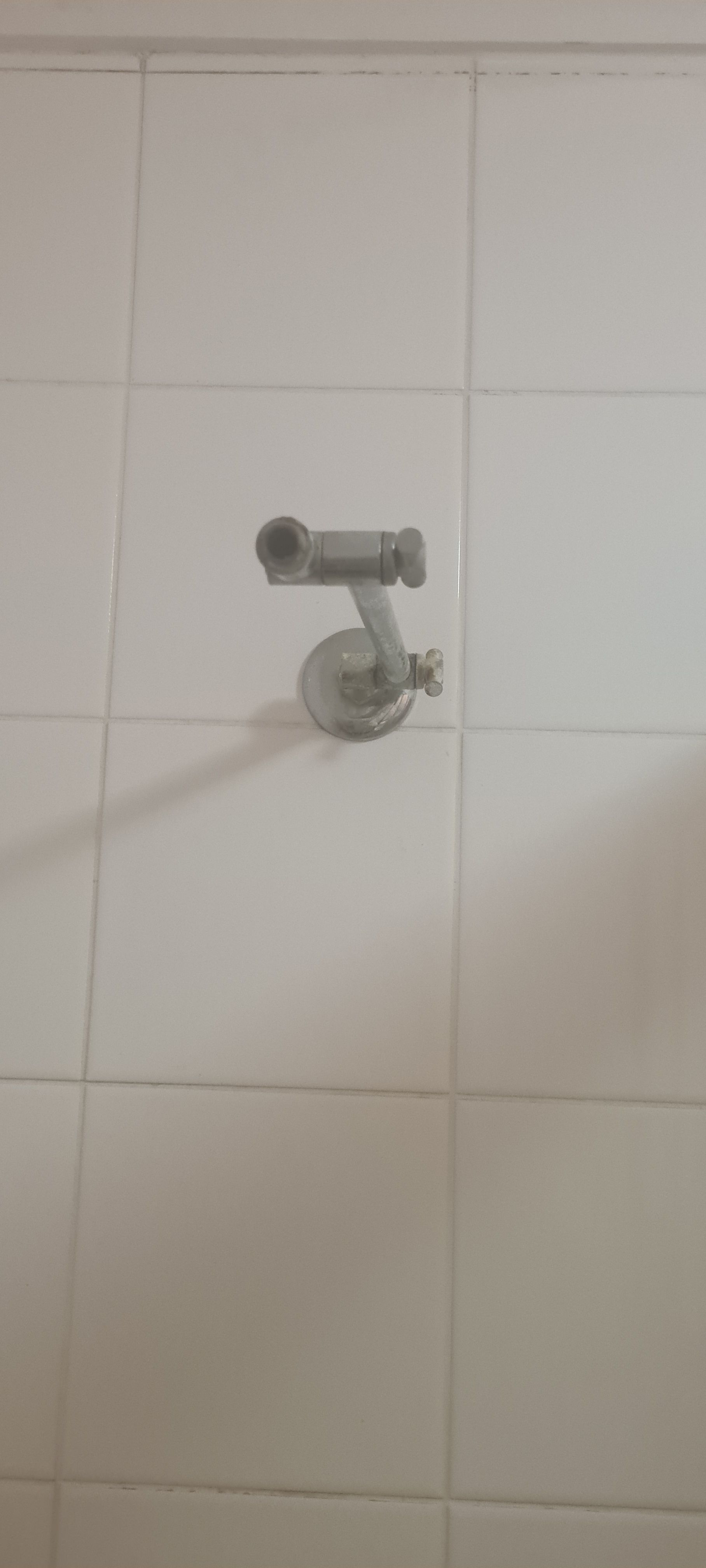 Solved Any advice on buying a new shower head? Bunnings