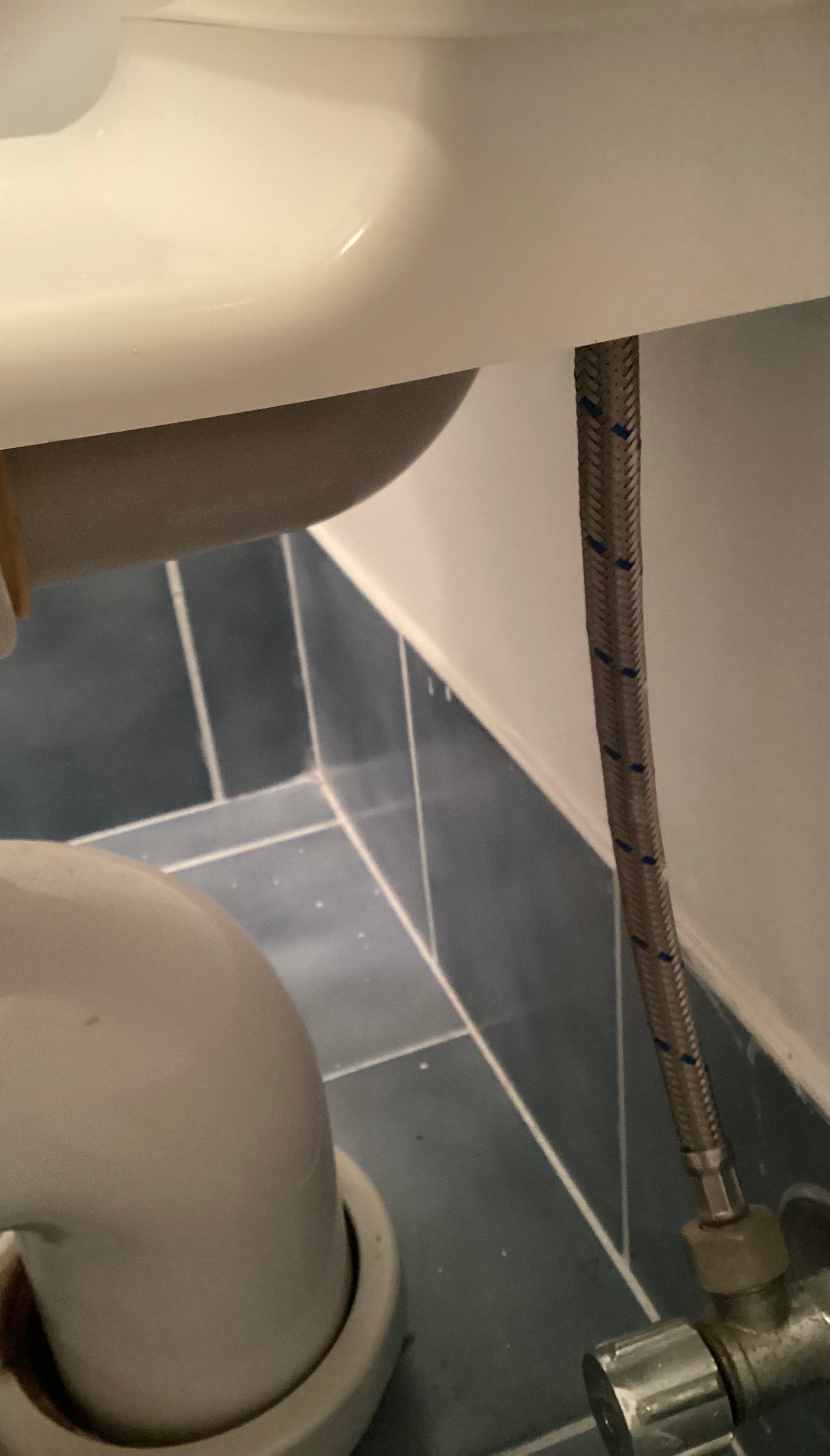 How to replace Caroma Trident cistern an... Bunnings community