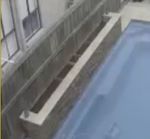 Water Feature against Timber Fence