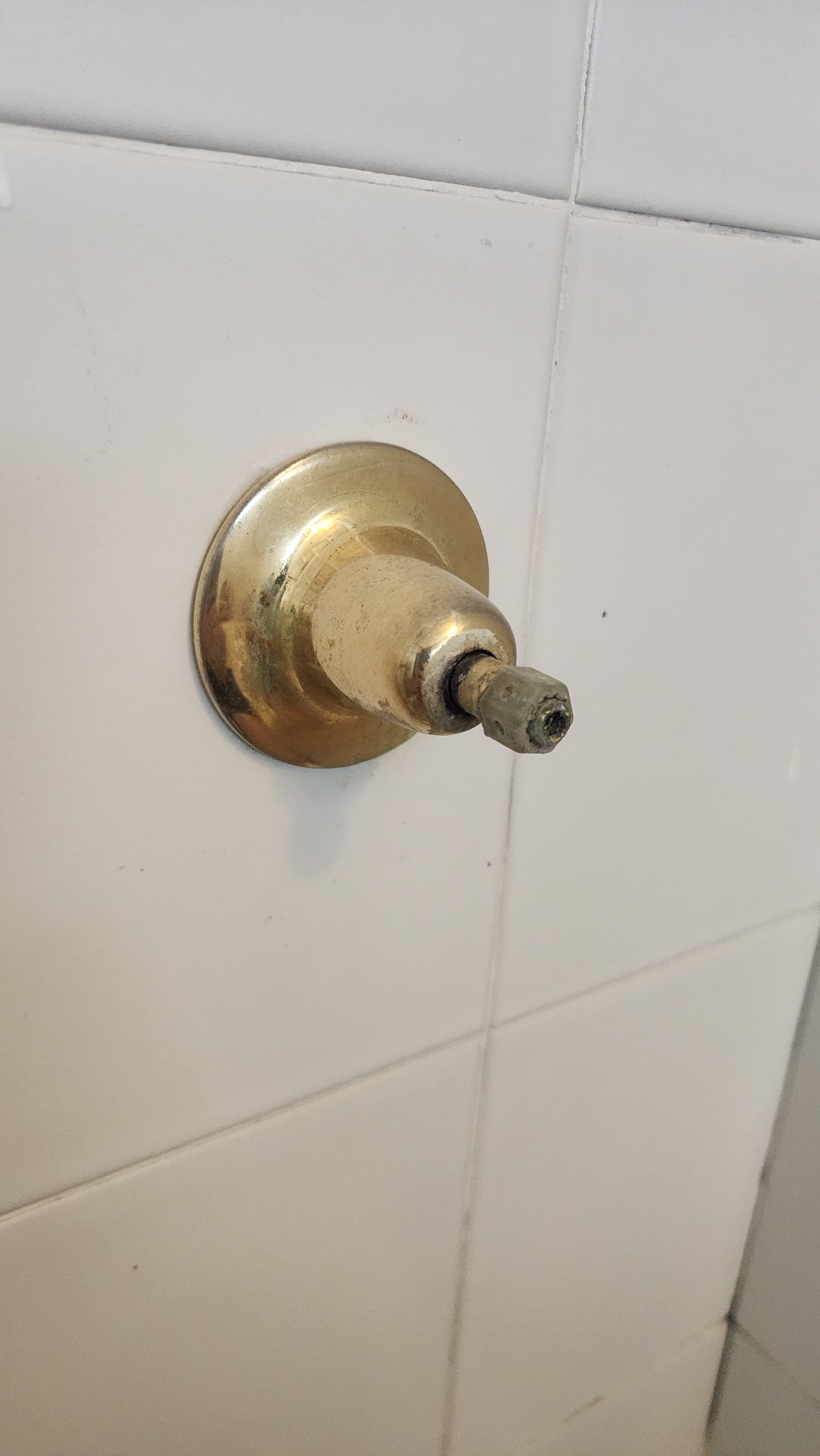 How to remove shower tap flange? Bunnings community