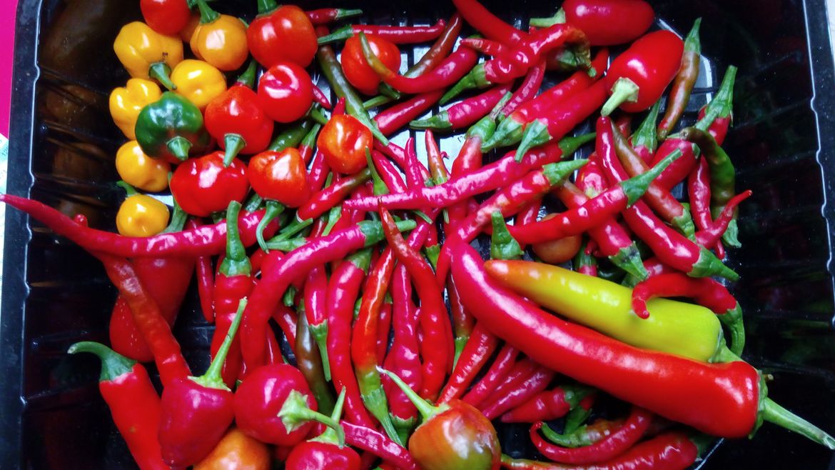 Harvested after Easter