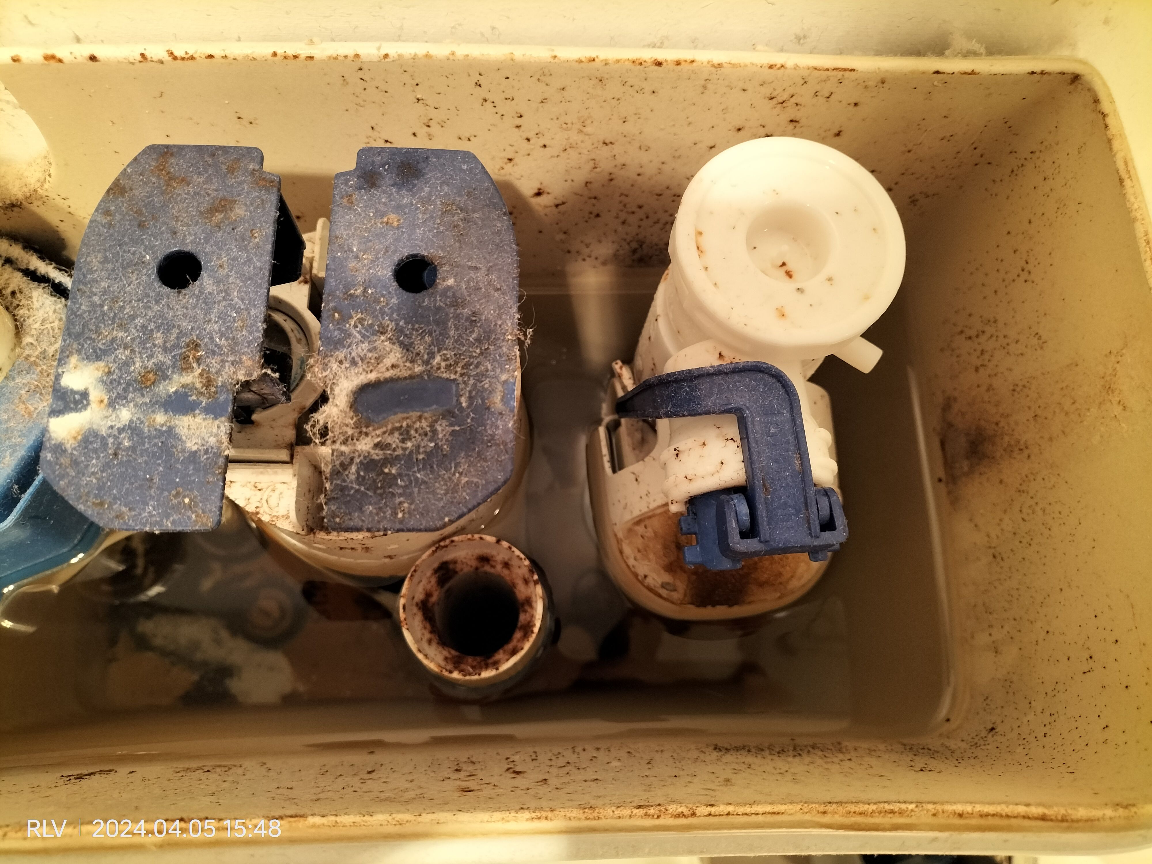 How to remove Caroma Flush valve? Bunnings community
