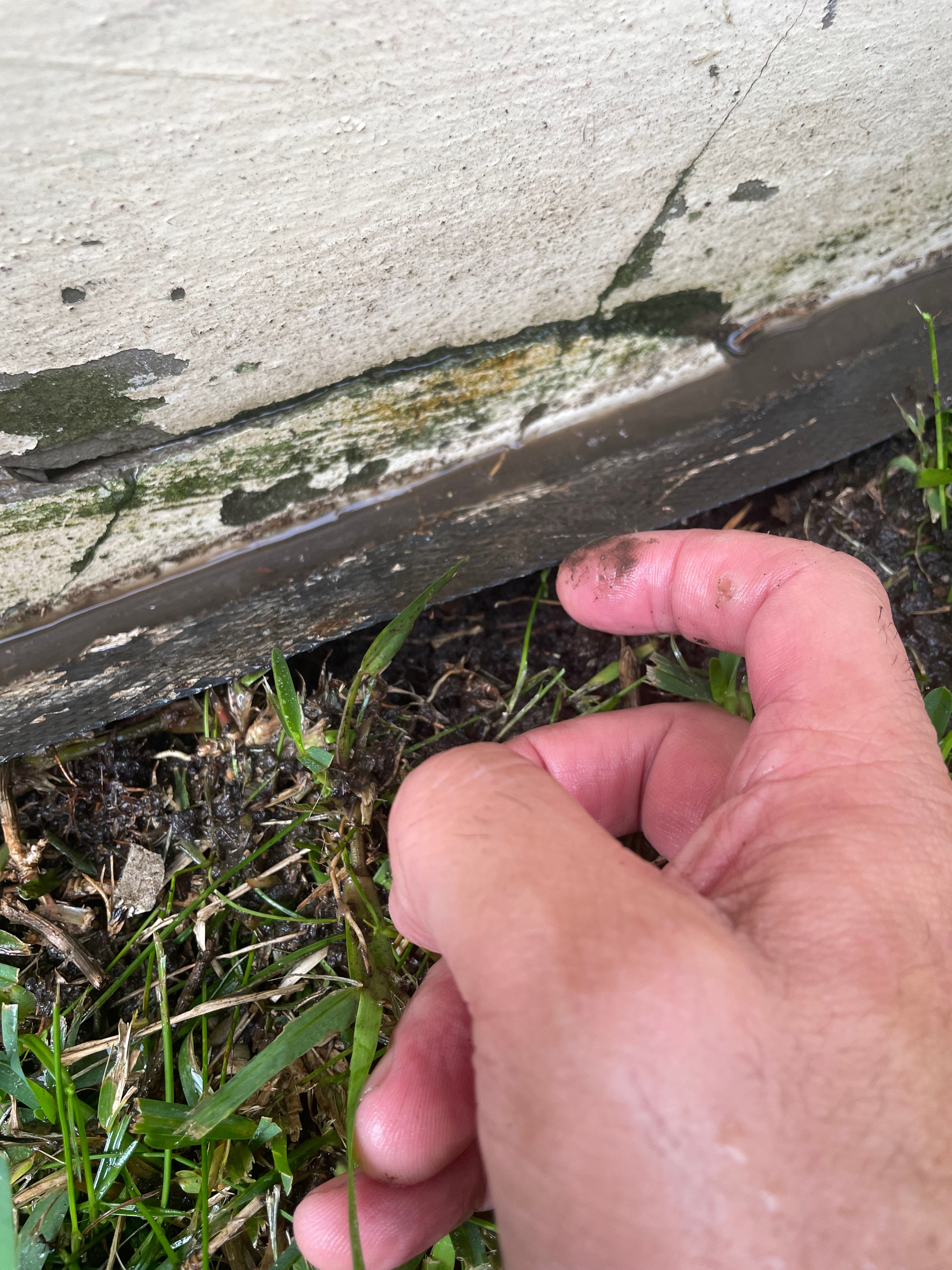 Solved How to fix leaking in garage? Bunnings community