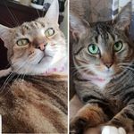 Profile (Chrissie35)