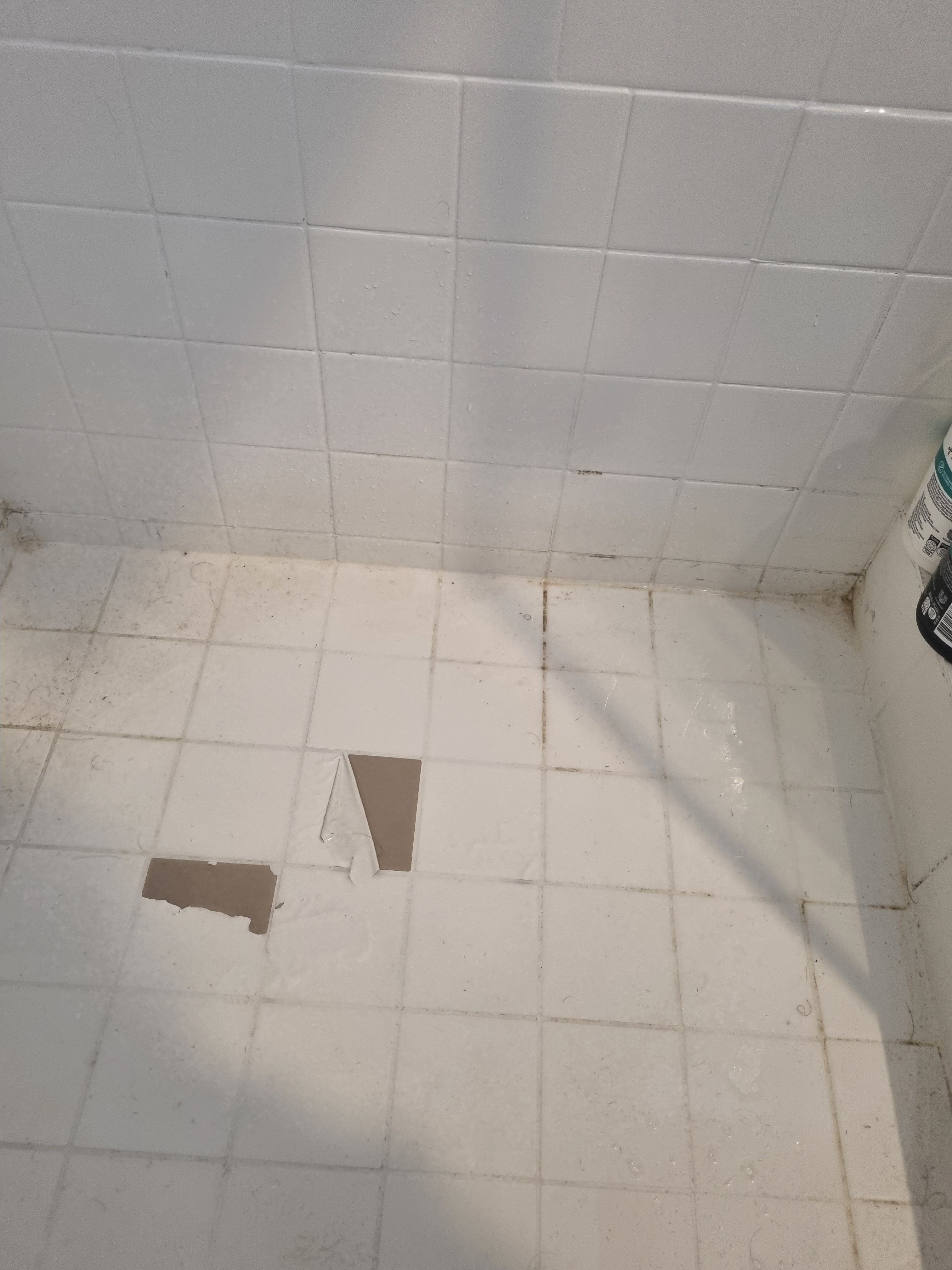 How to fix painted shower flooring tiles... Bunnings community
