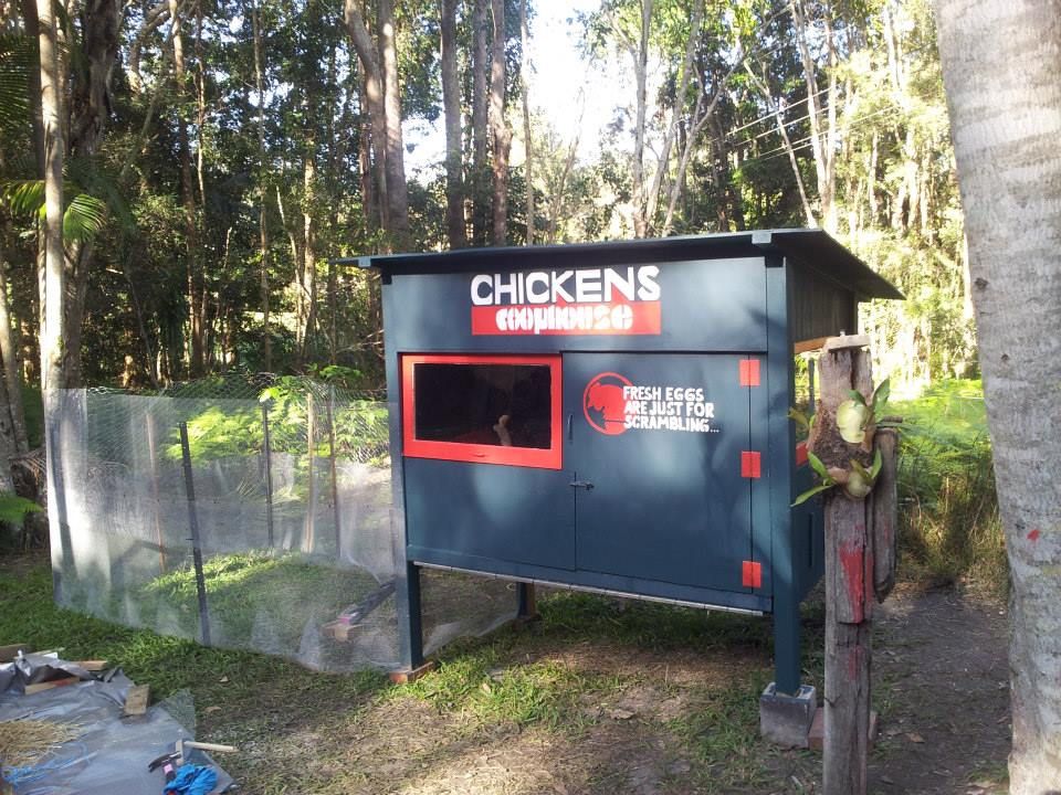 Advice on DIY Chicken Coop Bunnings community