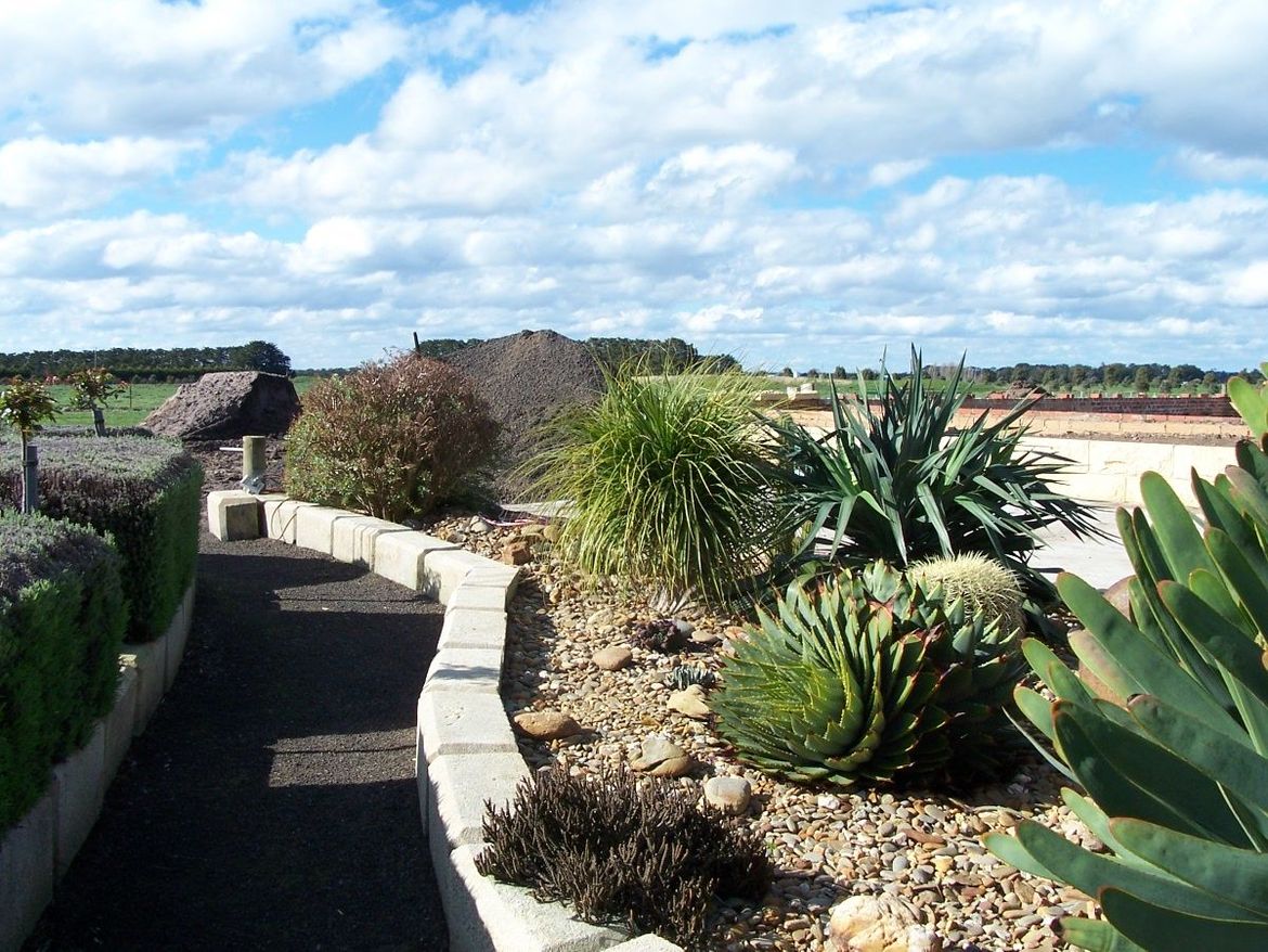 Exotic Garden no 2.JPG