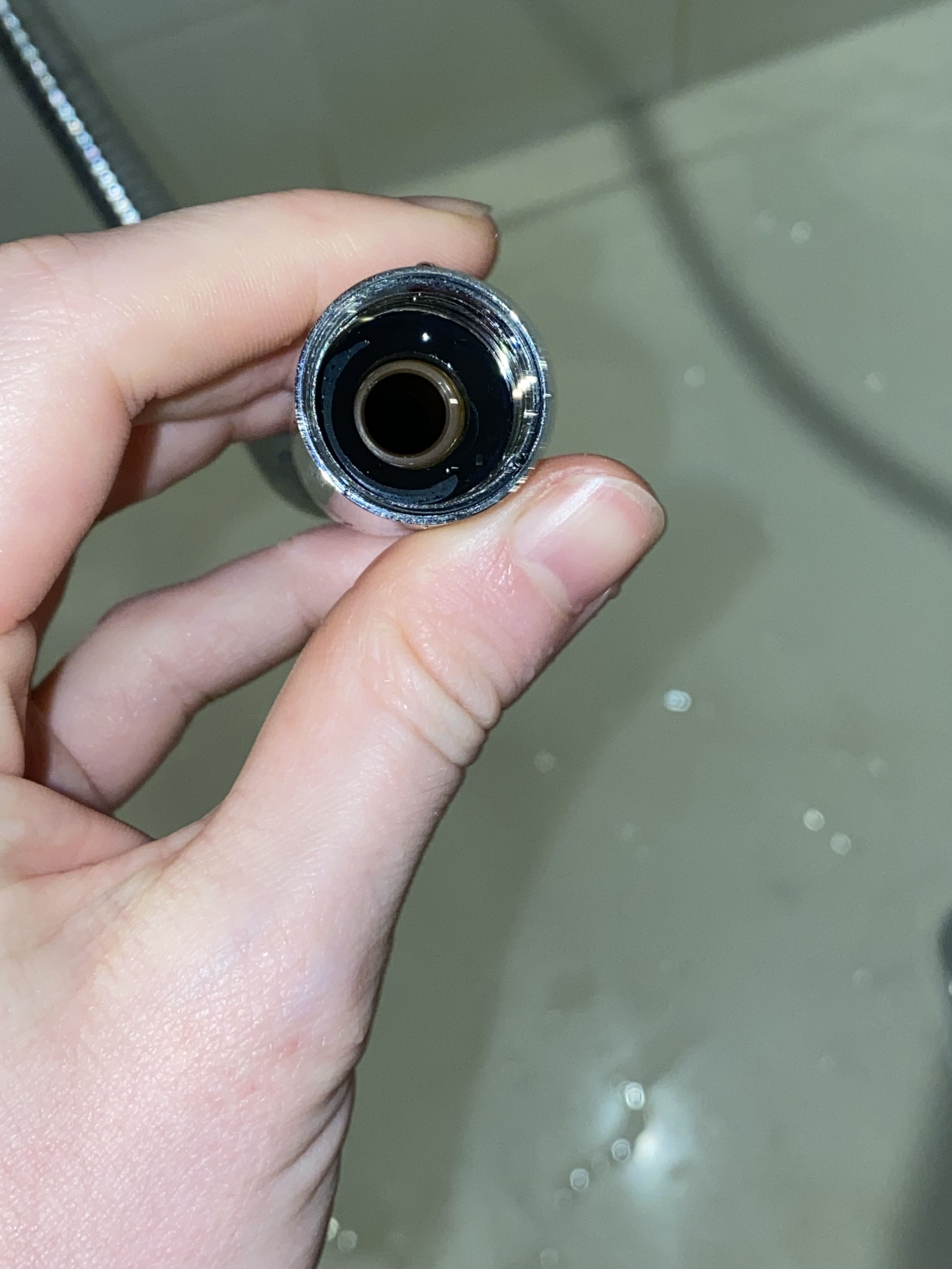How to fix squealing showerhead? Bunnings community
