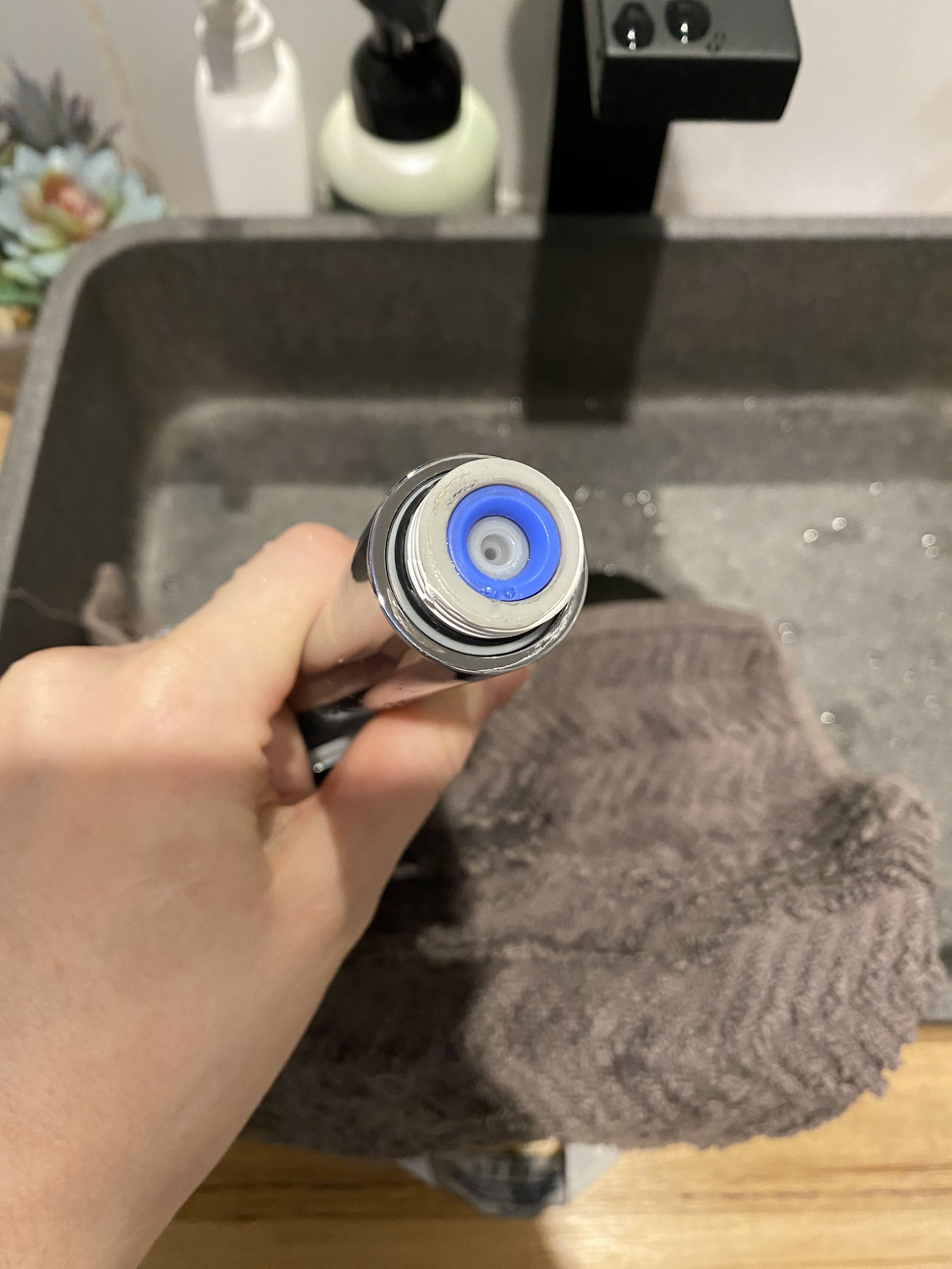 How to fix squealing showerhead? Bunnings community