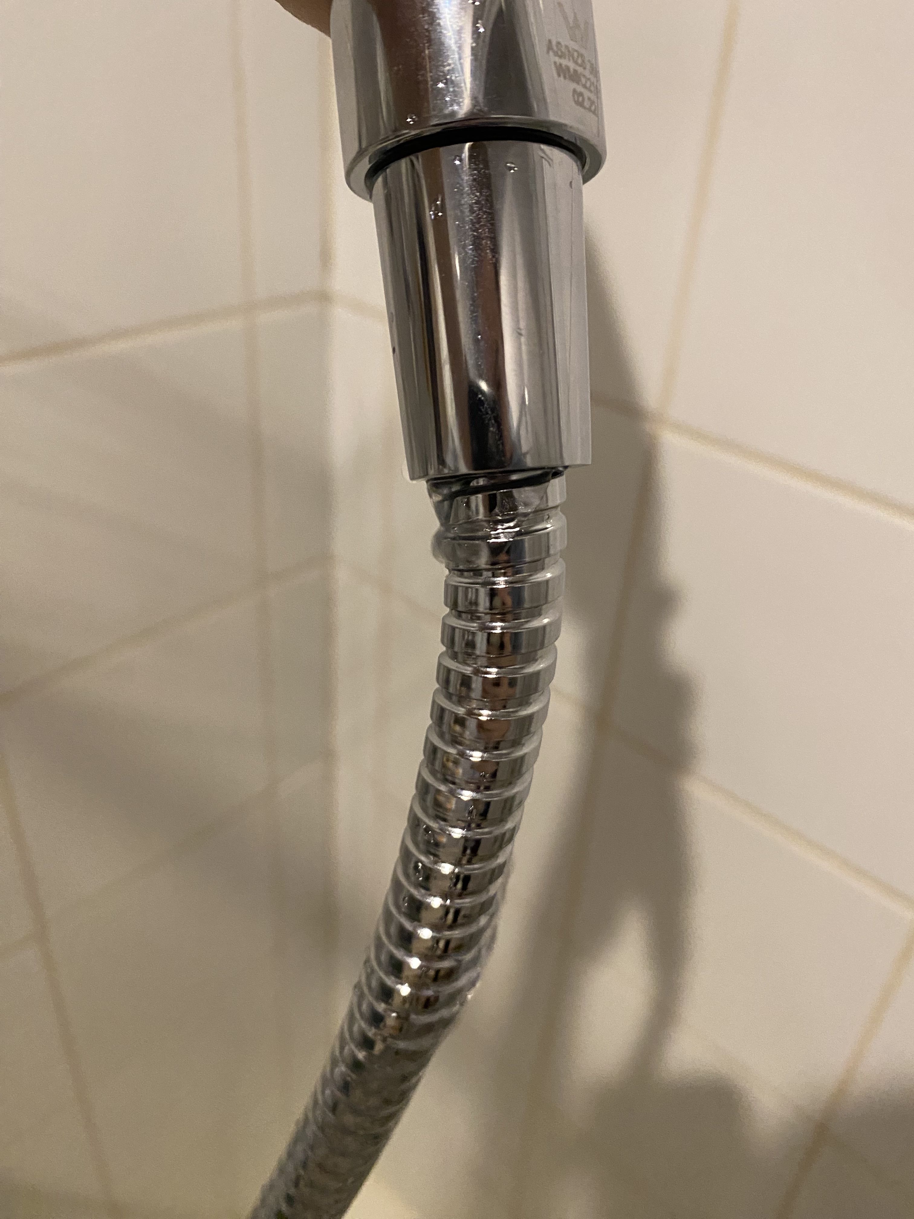 How to fix squealing showerhead? Bunnings community