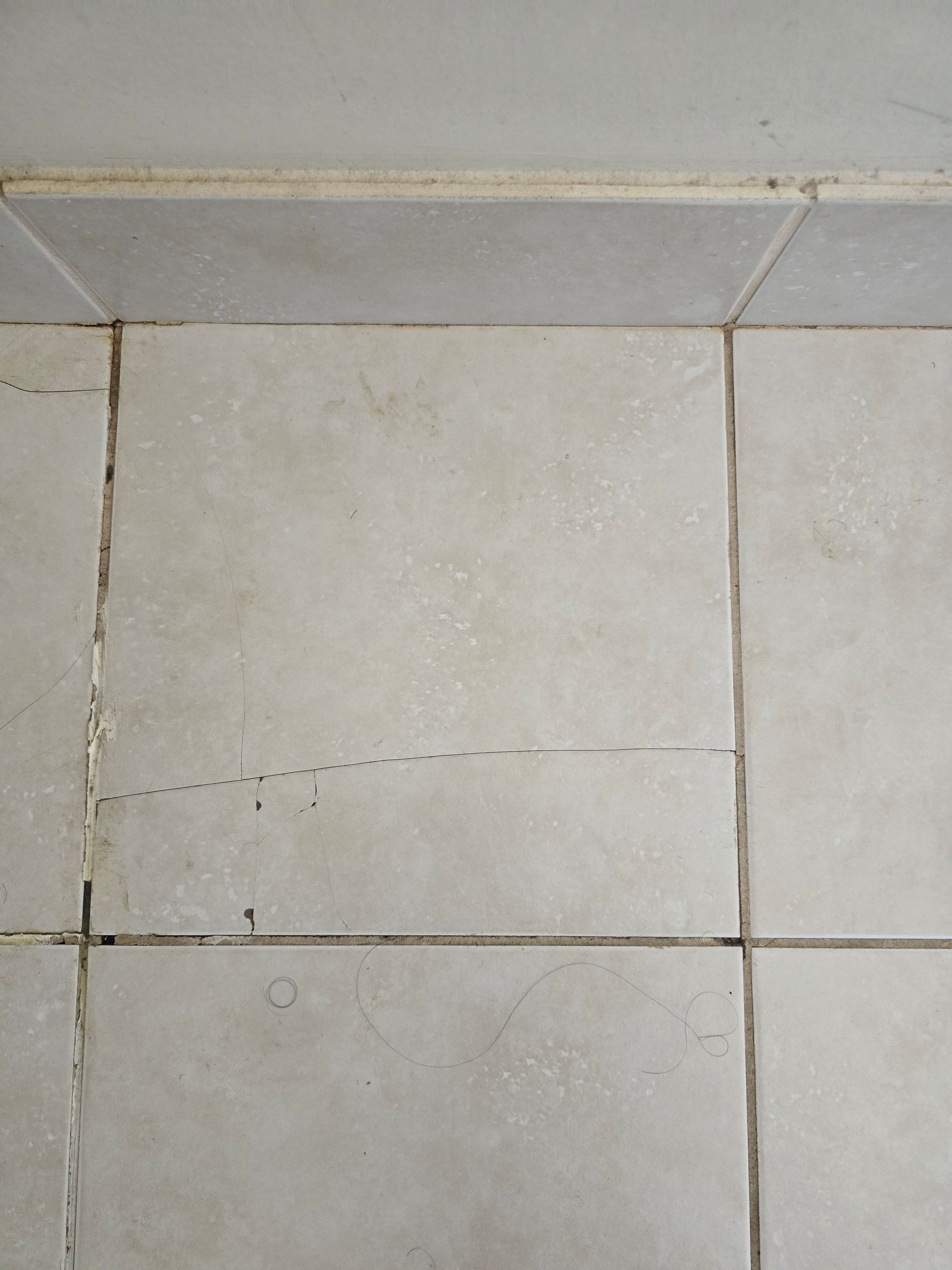 How to repair cracked tiles? Bunnings community