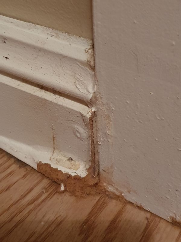 Re Can you use MDF for skirting boards? Bunnings community