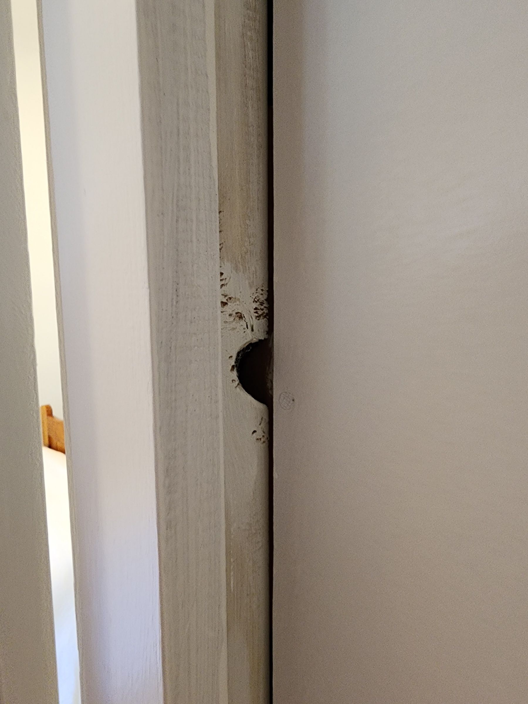 How to seal large gaps between Gyprock a... Bunnings community