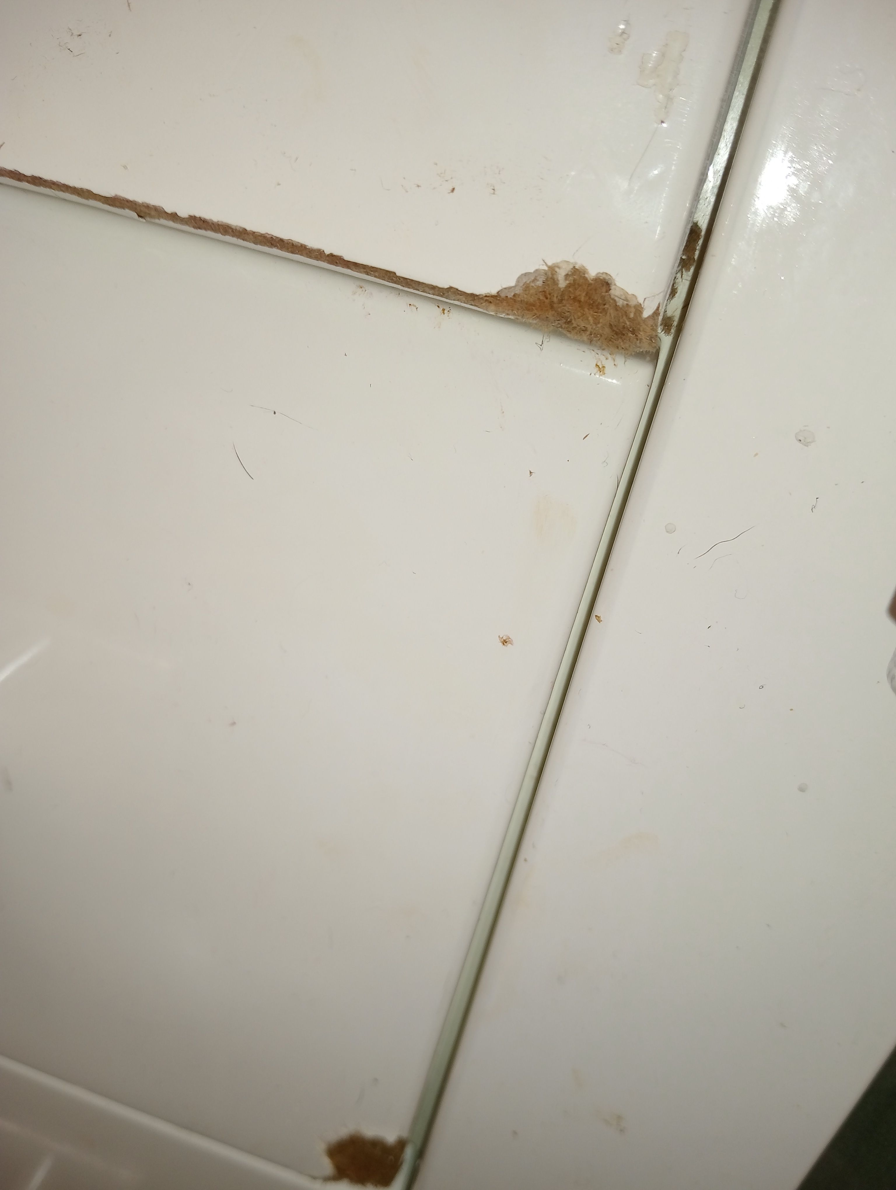 How to fix chipped drawers in bathroom? Bunnings community