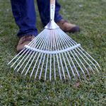Vigorous raking can help remove thatch from a small lawn