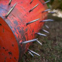 Hire a spiked roller for aerating larger lawns