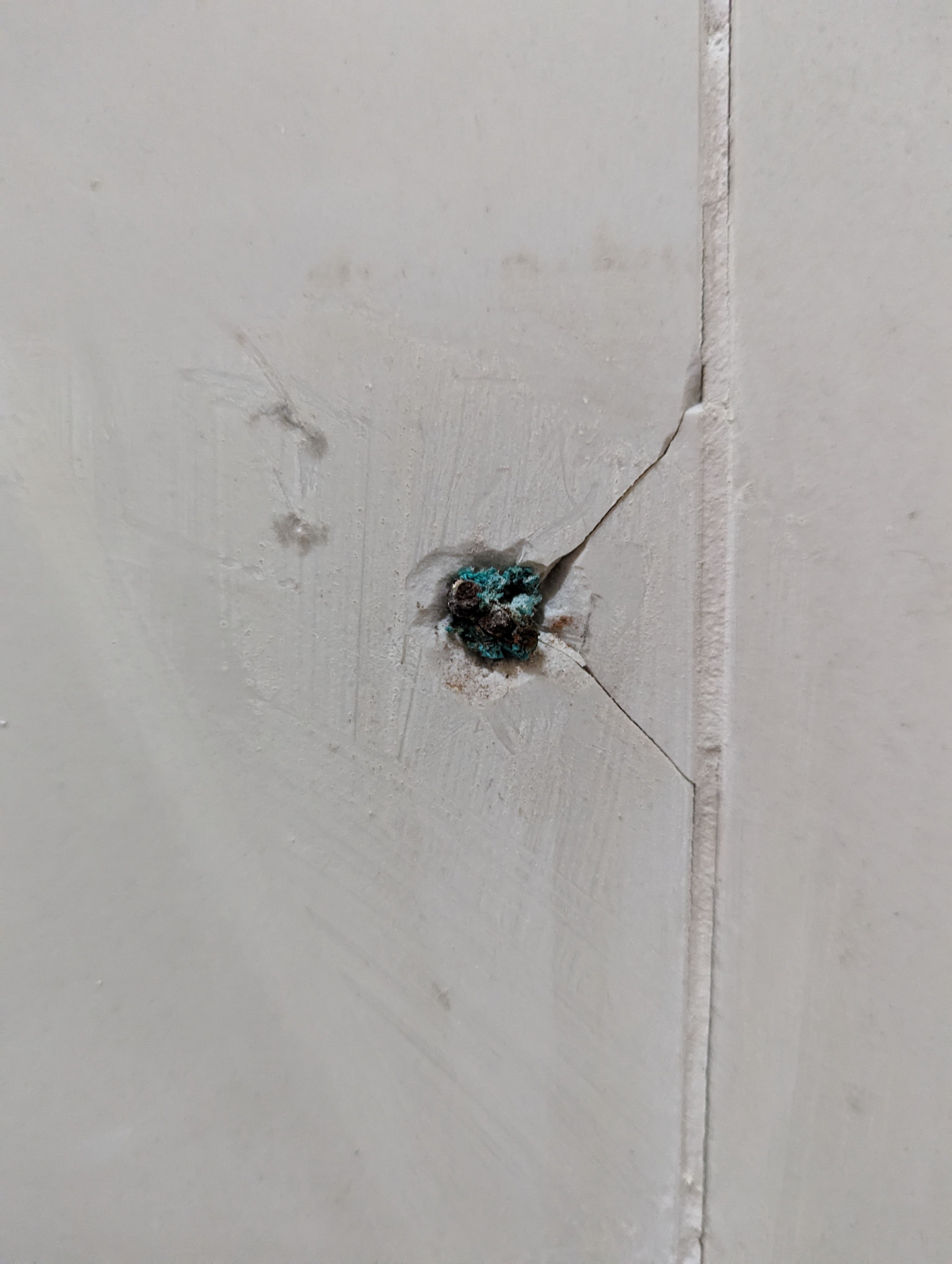 How to remove snapped screws inside gree... Bunnings community