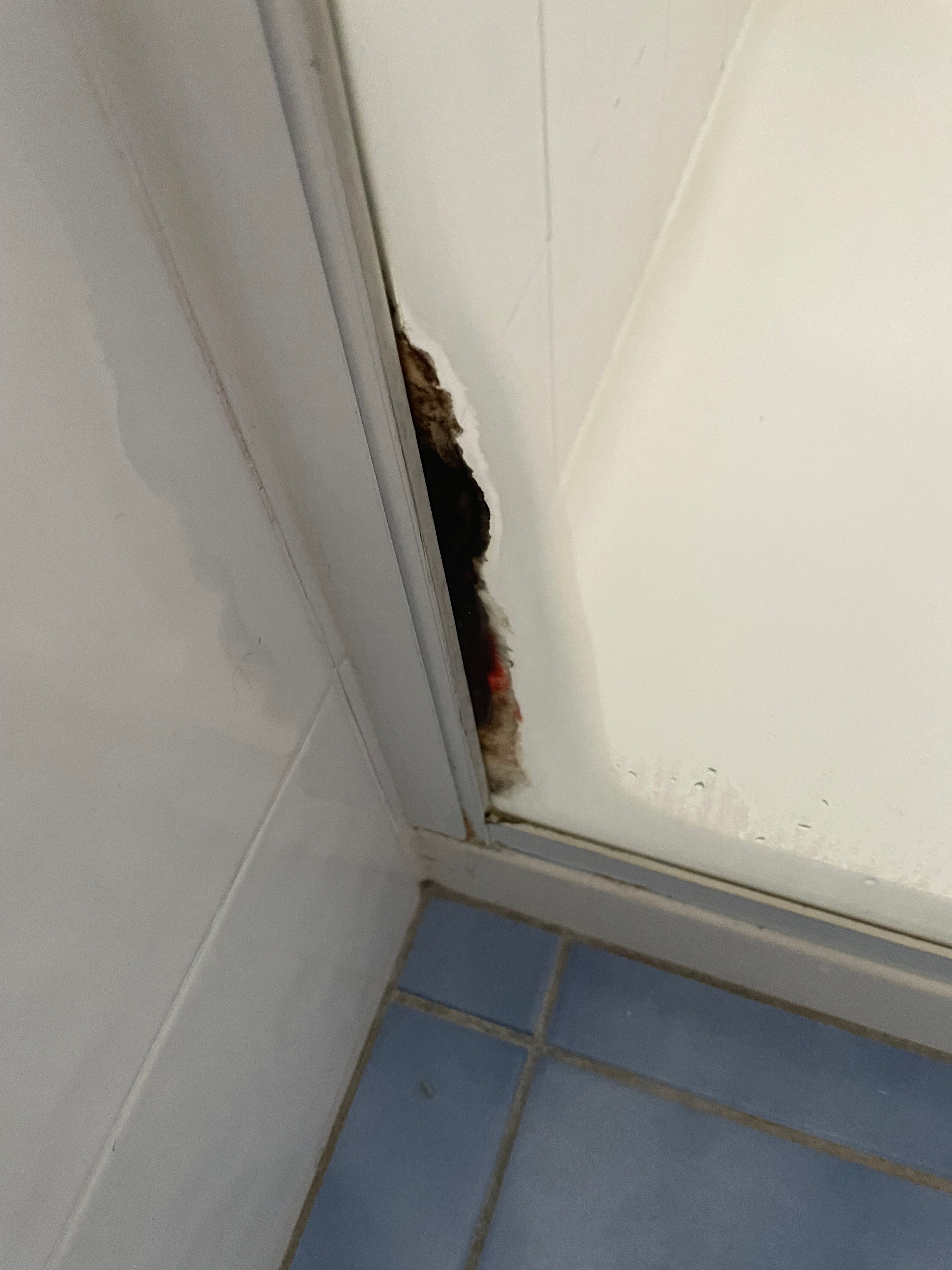How to remove shower screen mould? Bunnings community