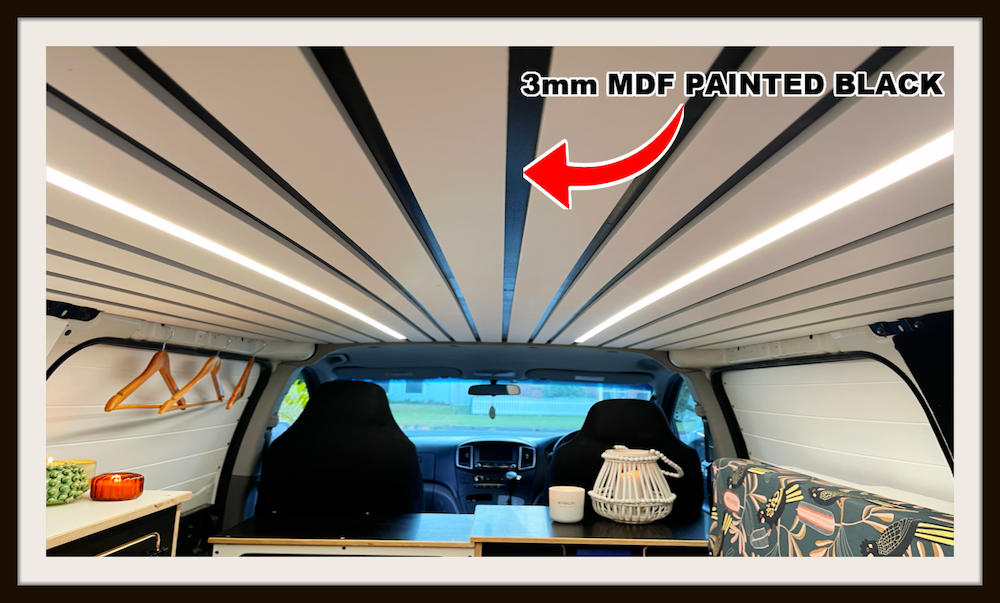 Resized Image 16.png