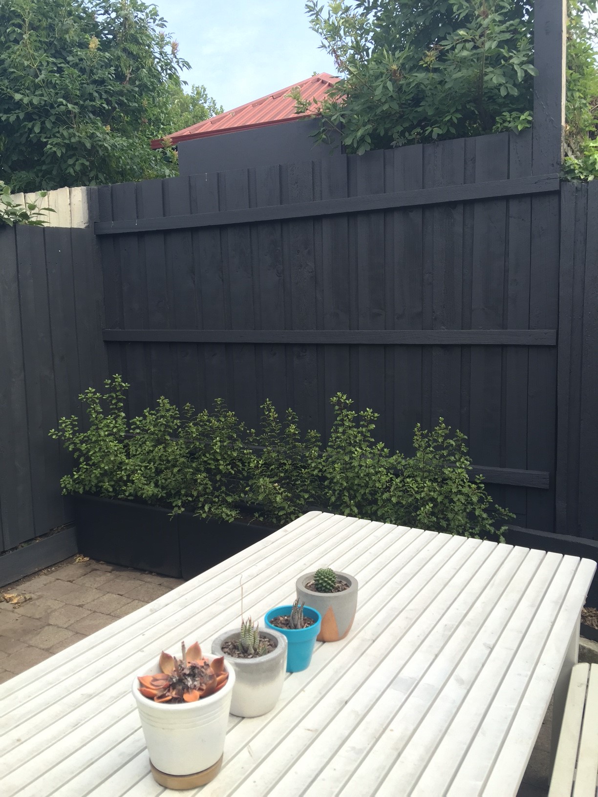 Fence makeover by spray painting | Bunnings Workshop community