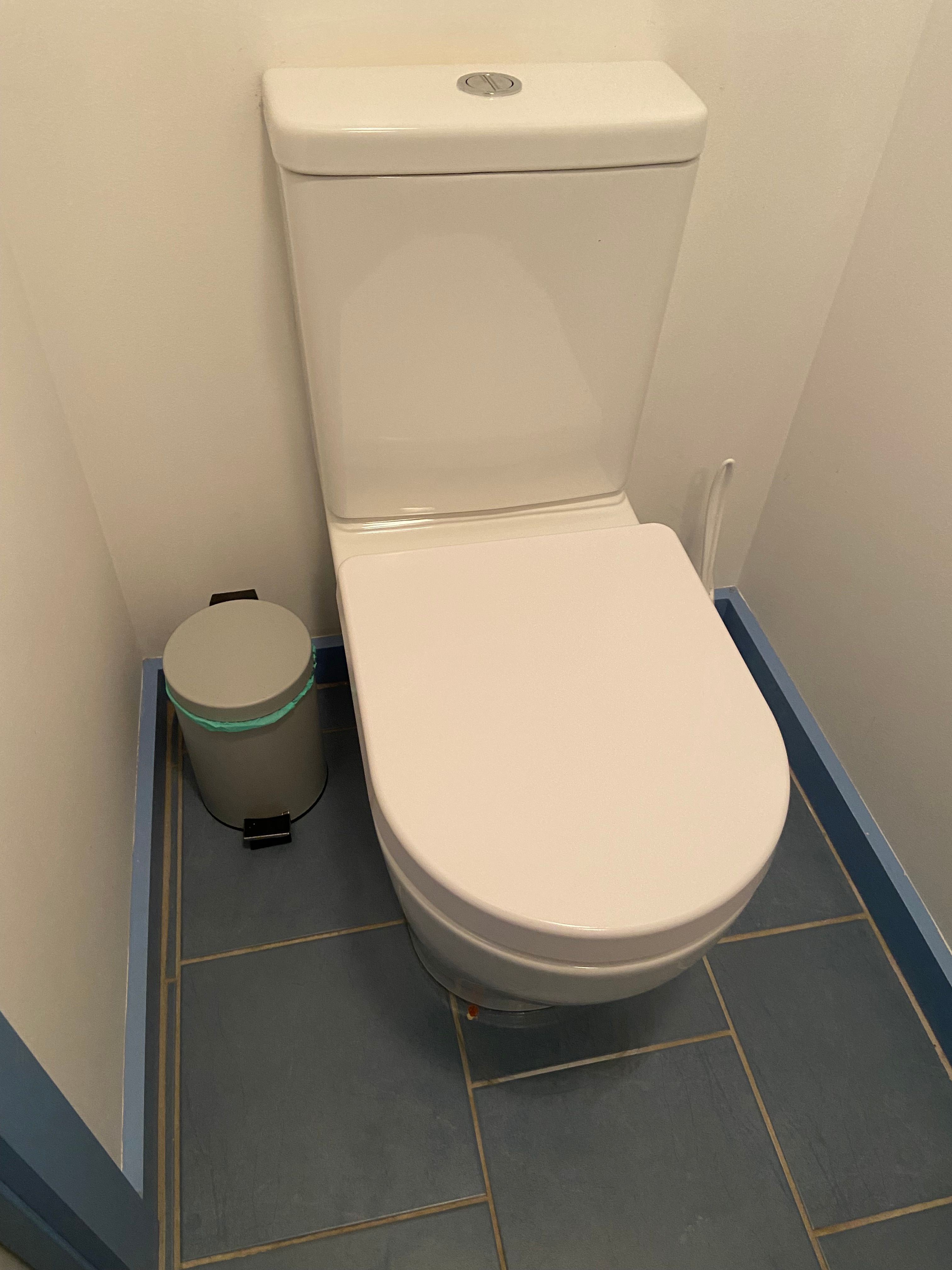 How to fix constantly running Caroma Sli... Bunnings community