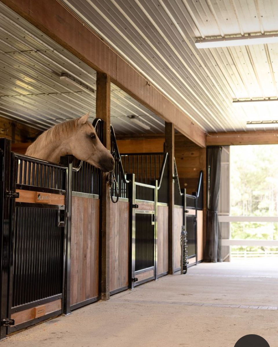 How to build horse stall stable walls? Bunnings community