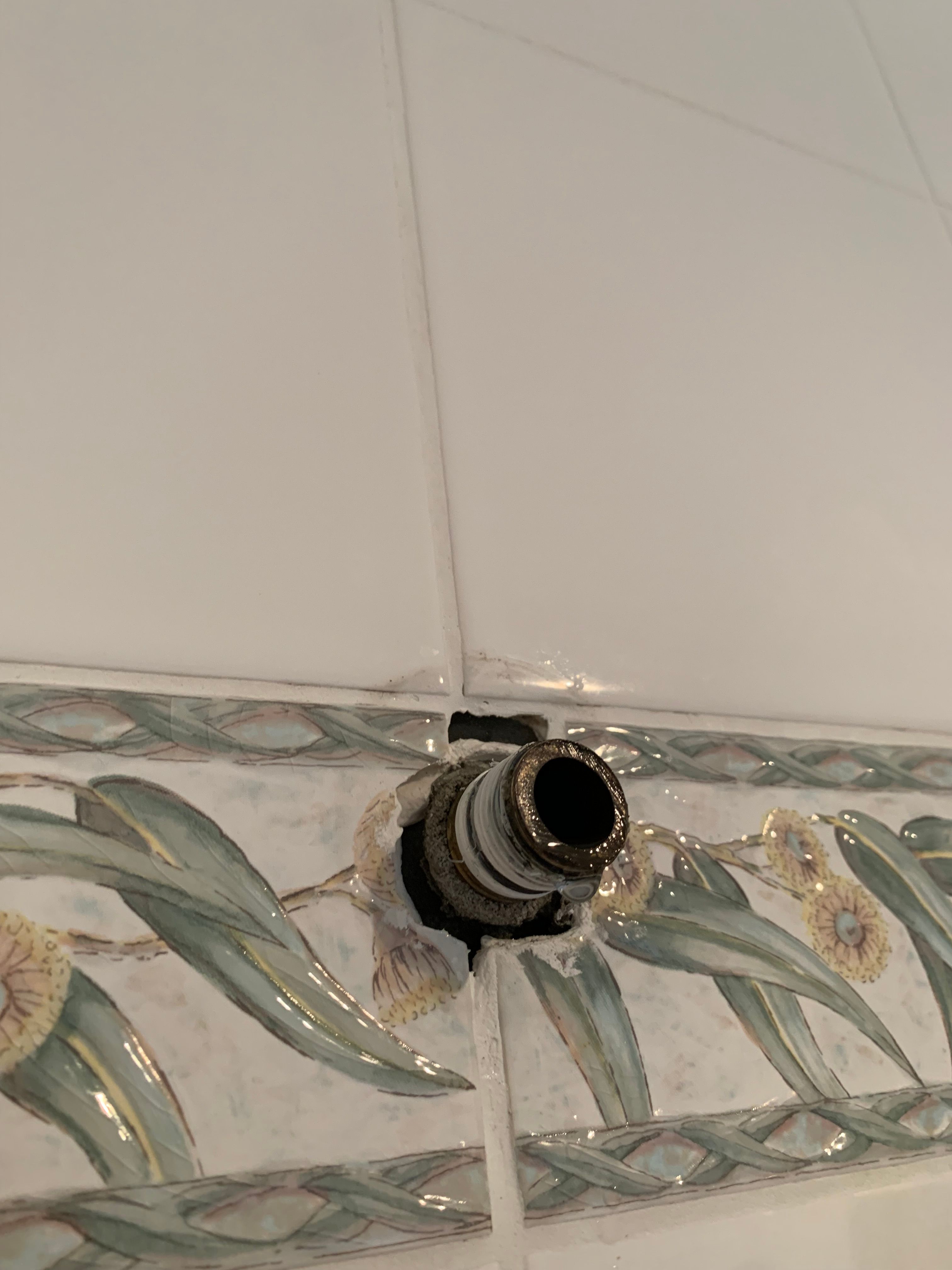 Solved How to replace shower head with bigger t... Bunnings