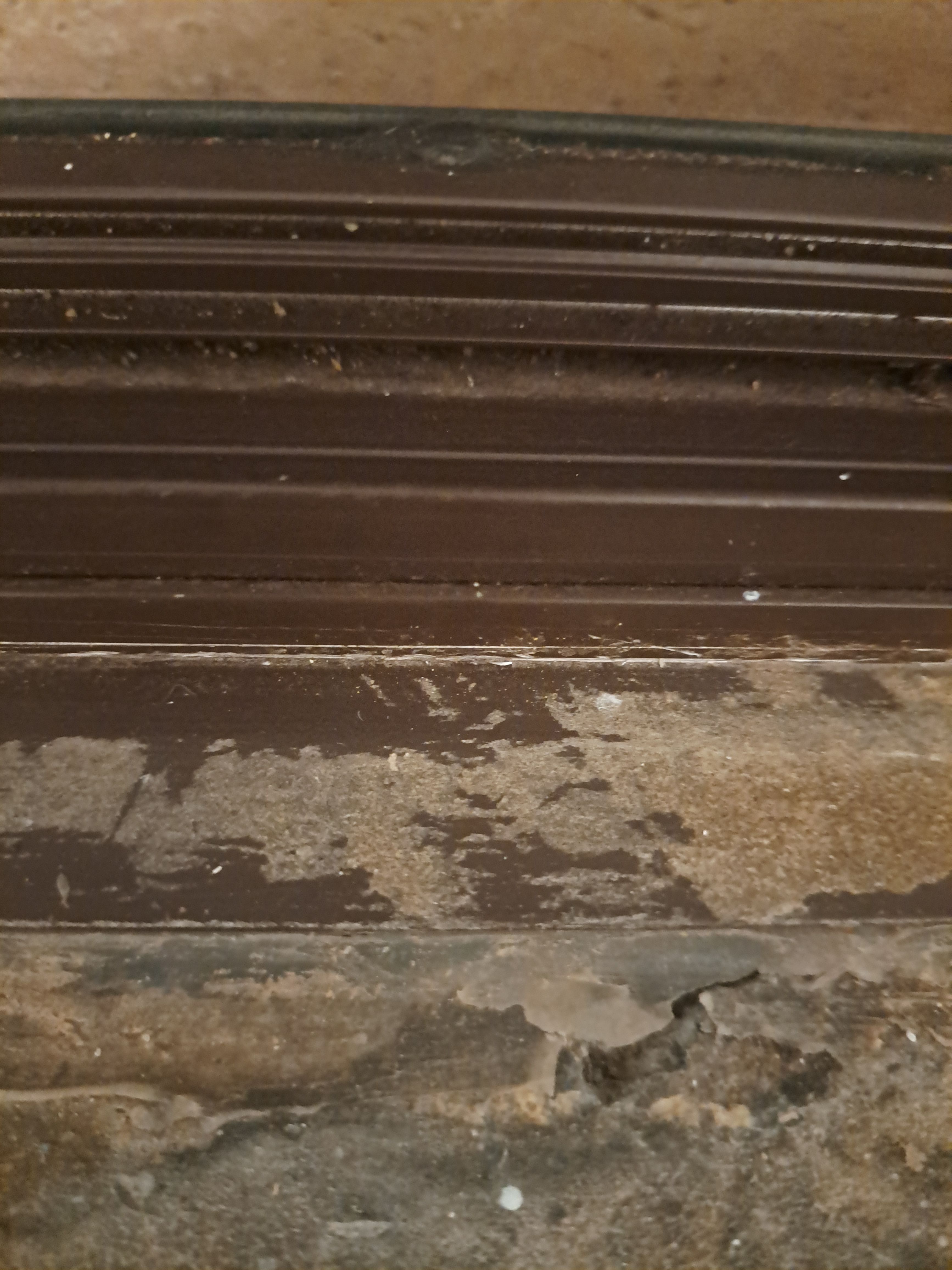 How to fill concrete holes? Page 2 Bunnings community