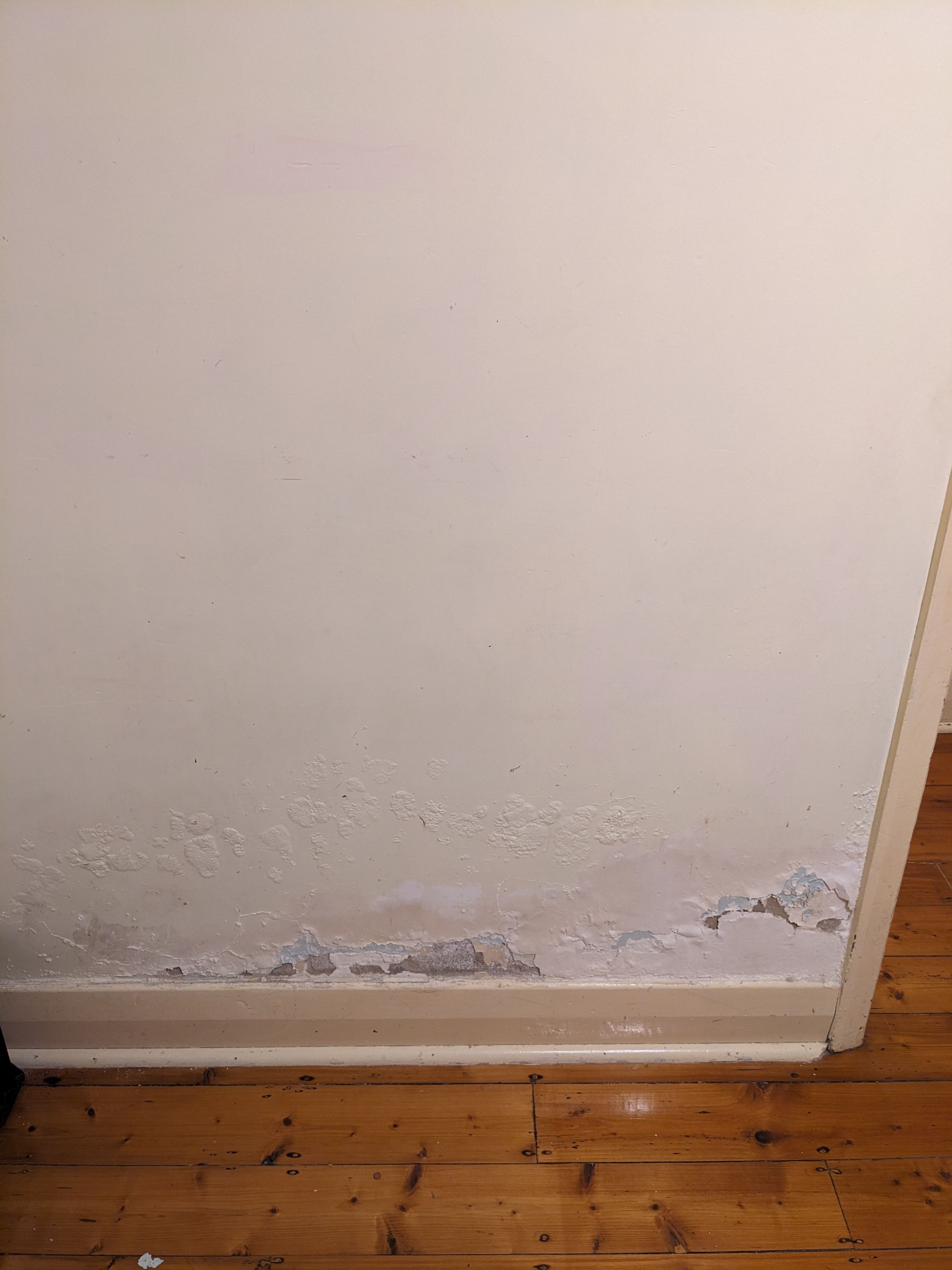 How to add damp proof course to fix risi... Bunnings community