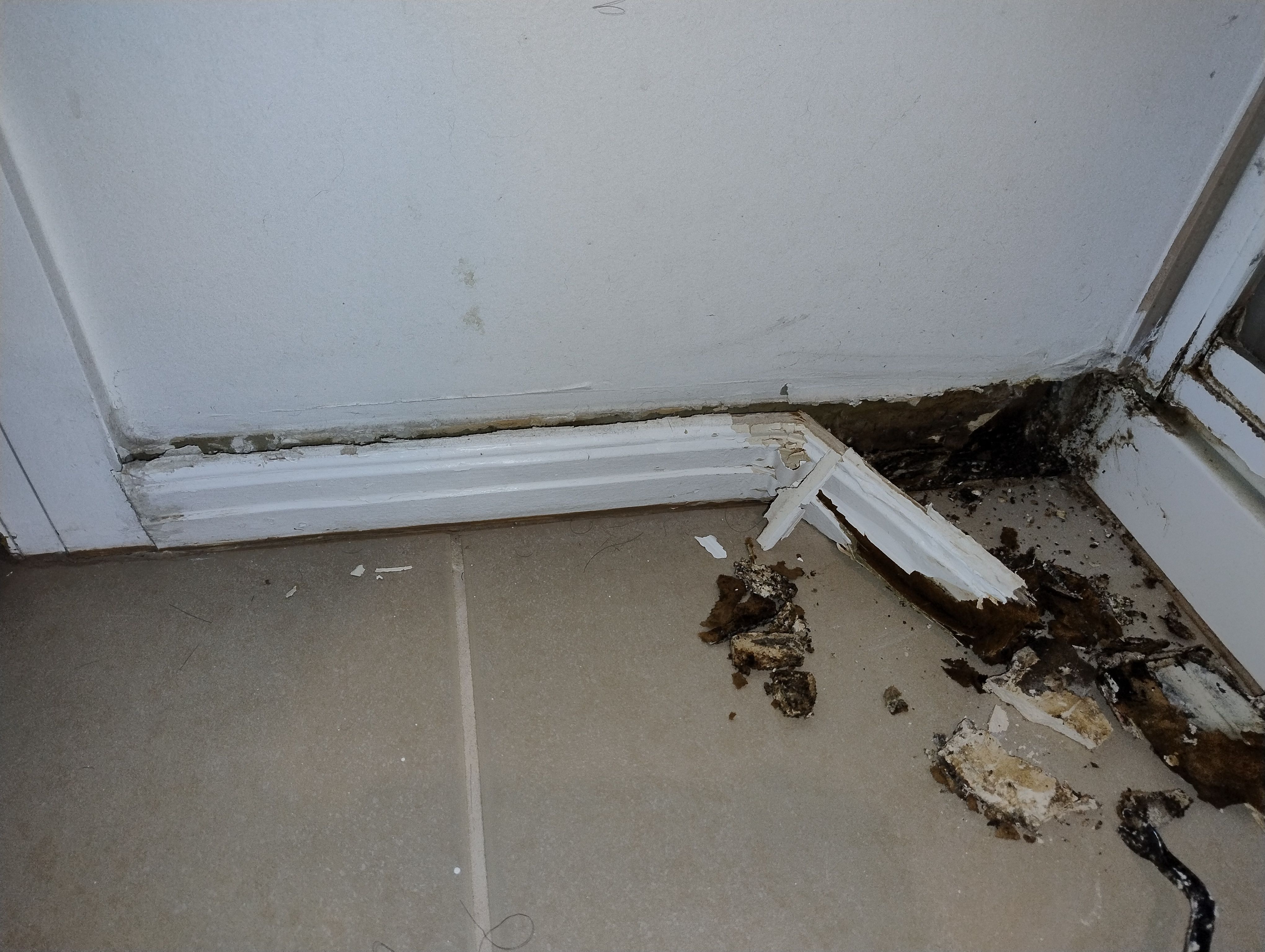 How to fix wood rot near shower? Bunnings community