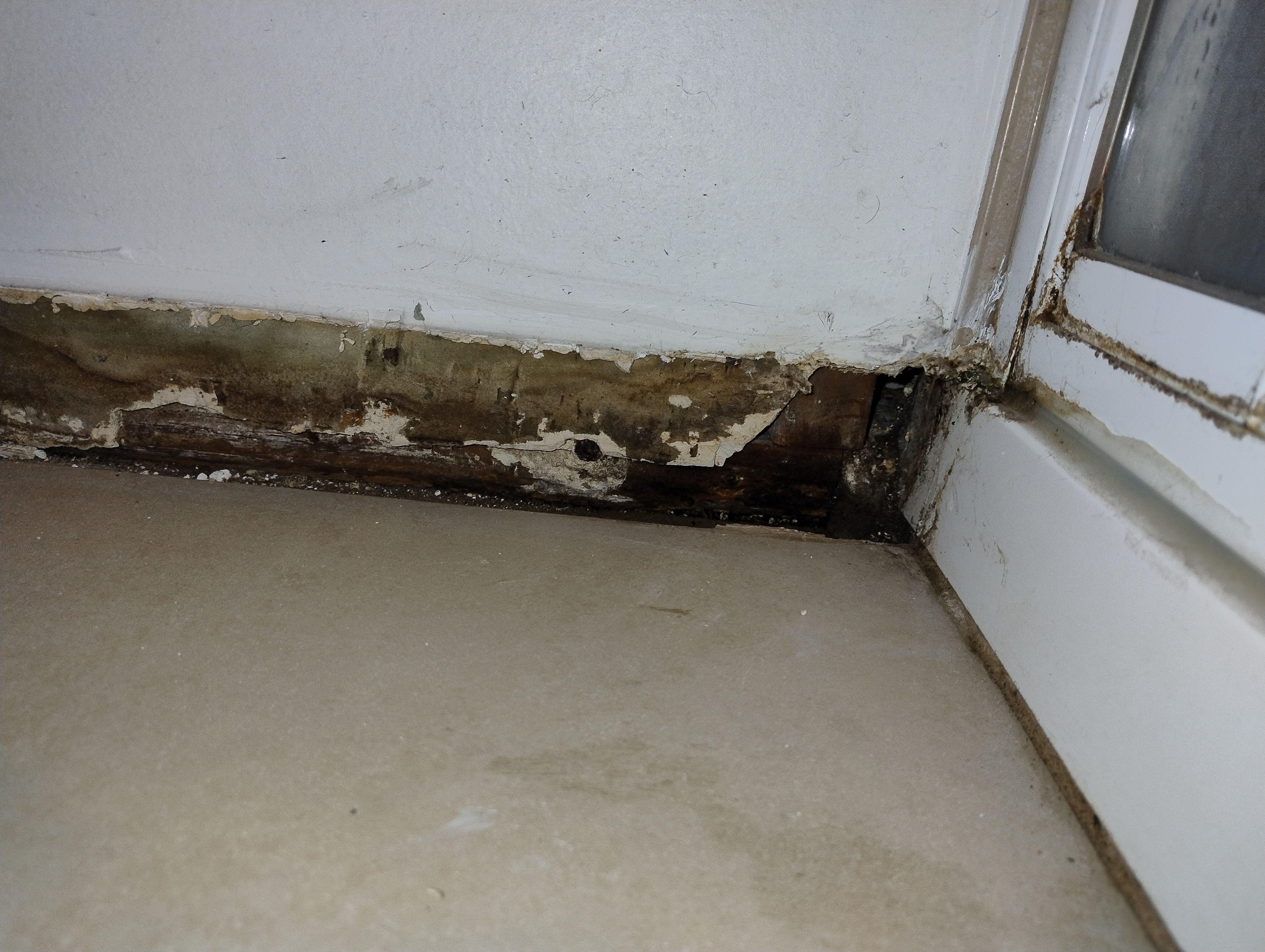 How to fix wood rot near shower? Bunnings community