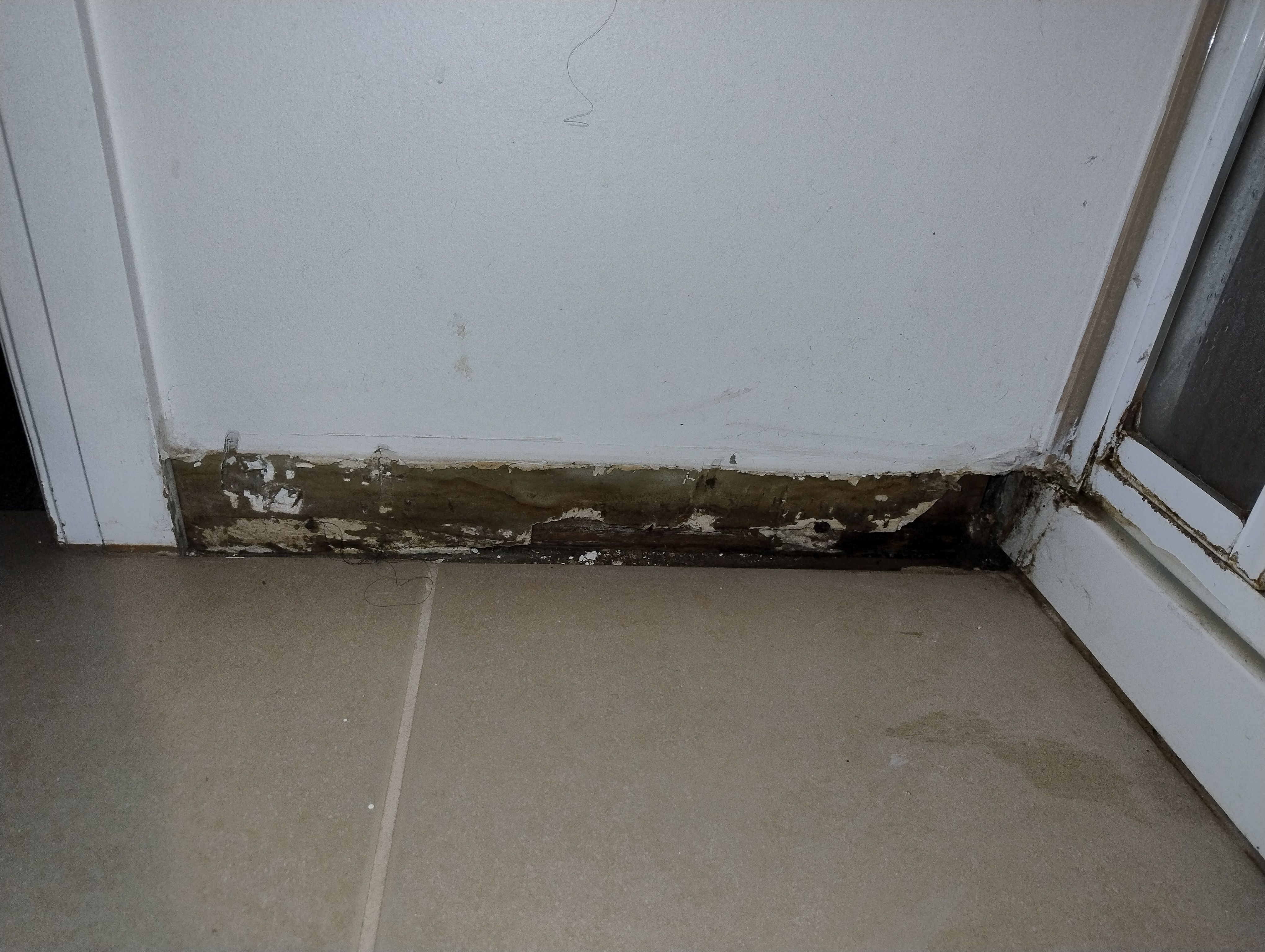 How to fix wood rot near shower? Bunnings community