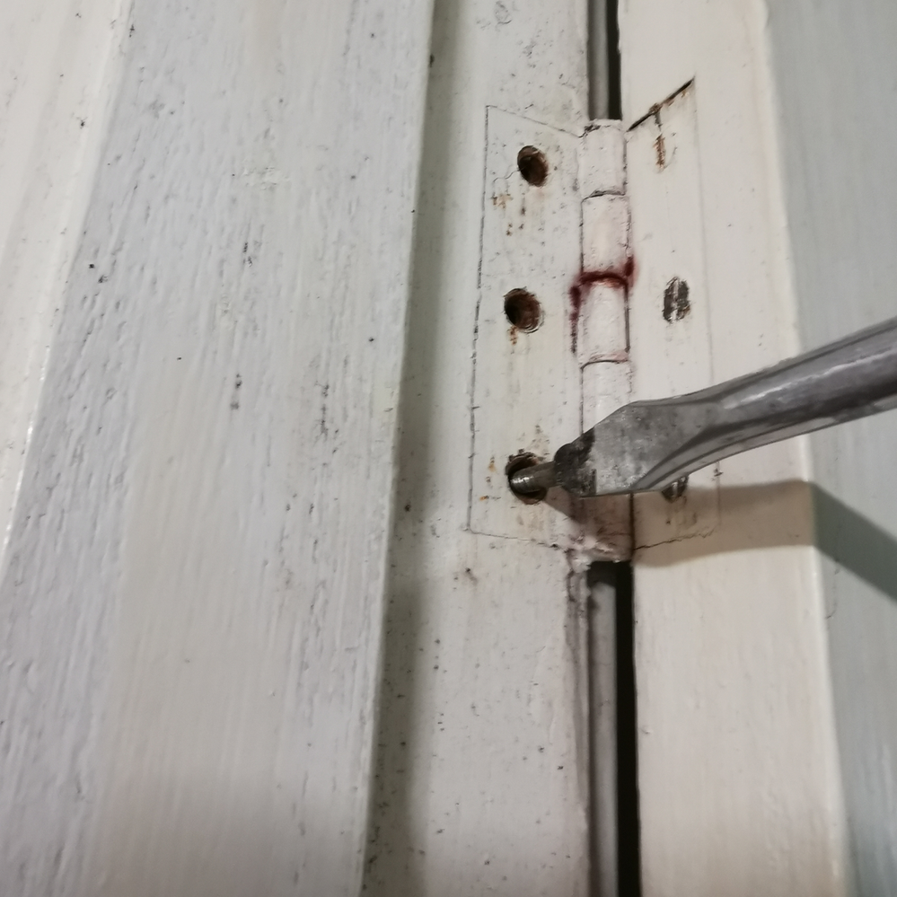 1.3 Removing hinge screws.png